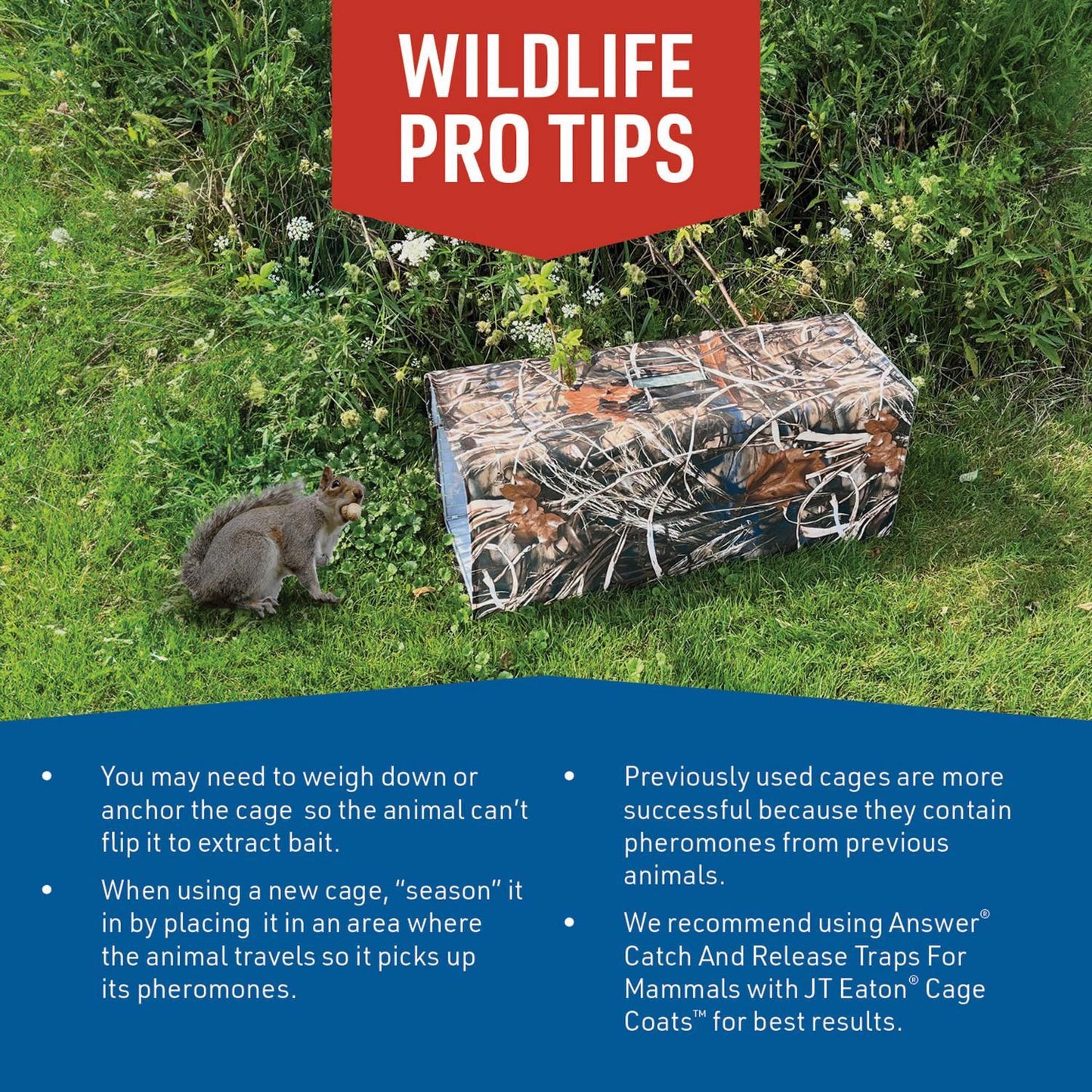  JT Eaton Answer Medium Live Catch Animal Trap Cover For Rabbits And Skunks 1 Pk