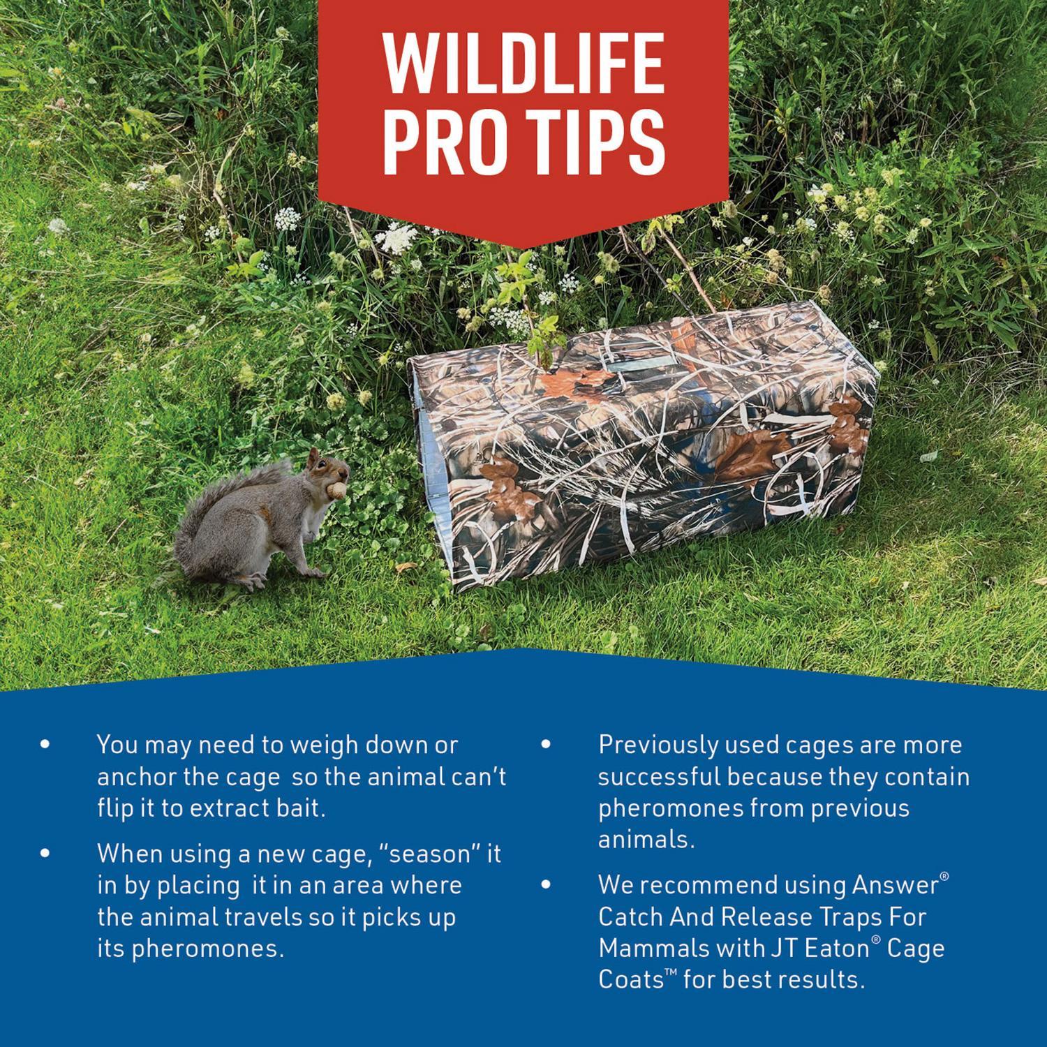  JT Eaton Answer Medium Live Catch Animal Trap Cover For Rabbits And Skunks 1 Pk