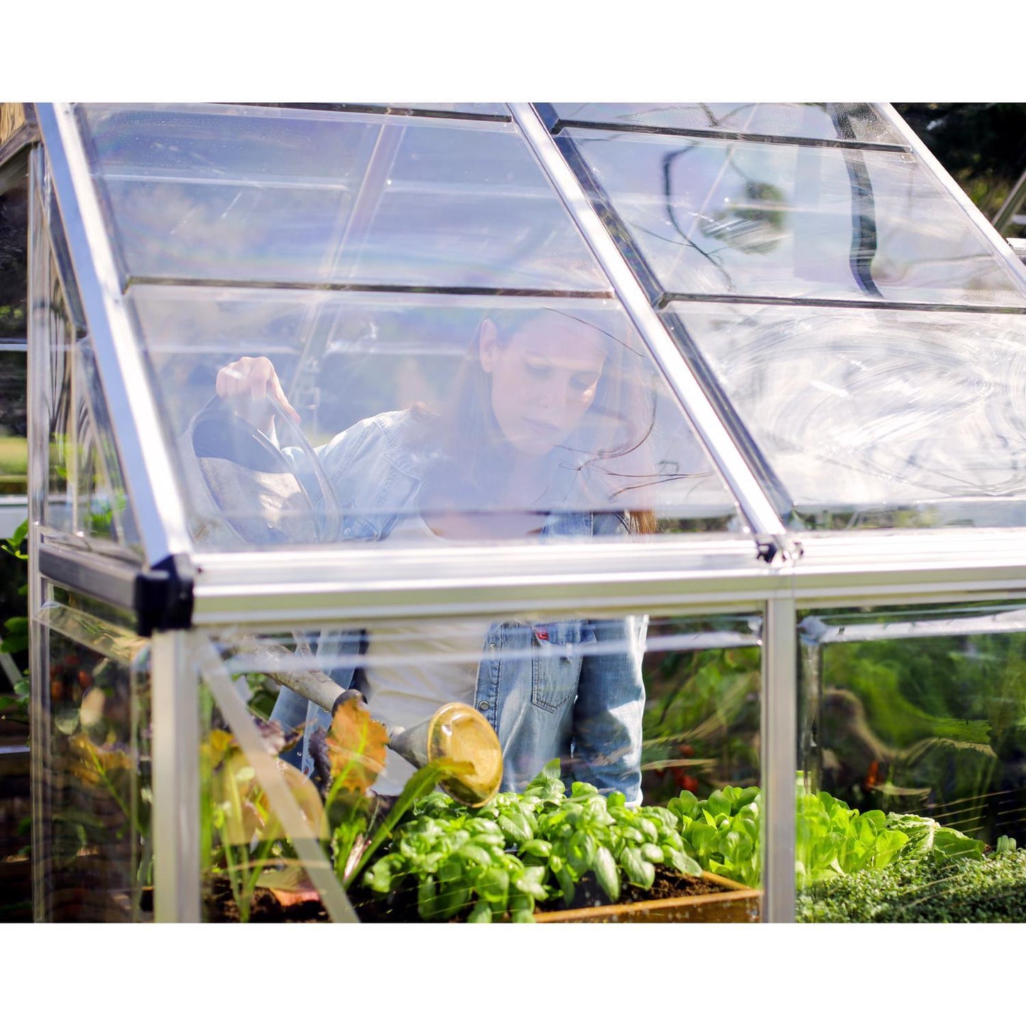  Canopia By Palram Harmony Silver 72.8 In. W X 49.6 In. D X 81.9 In. H Walk-In Greenhouse