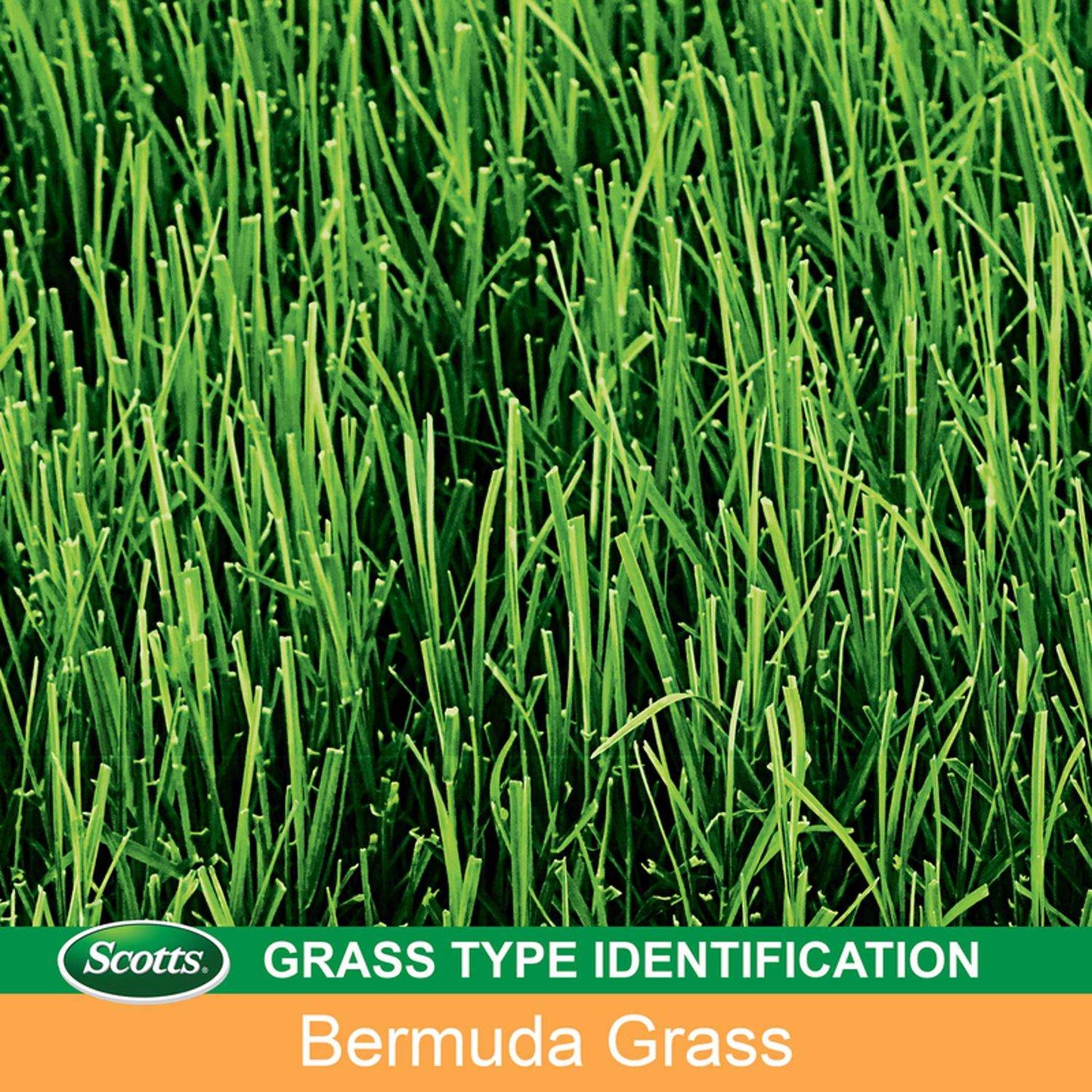  Scotts EZ Seed Bermuda Grass Sun Or Shade Grass Spot Repair Seed 10 Lb