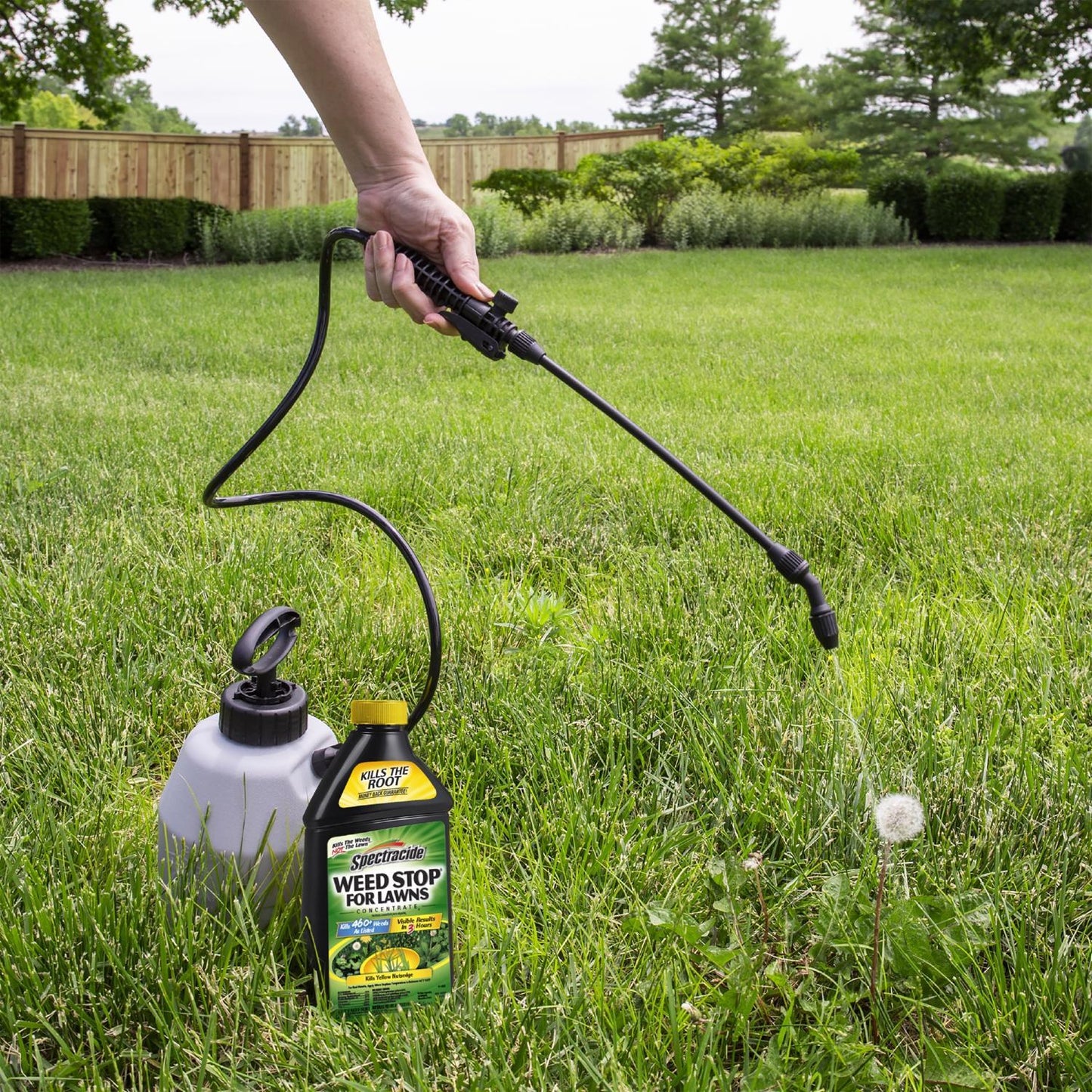  Spectracide Weed Stop Weed Killer Concentrate 32 Oz
