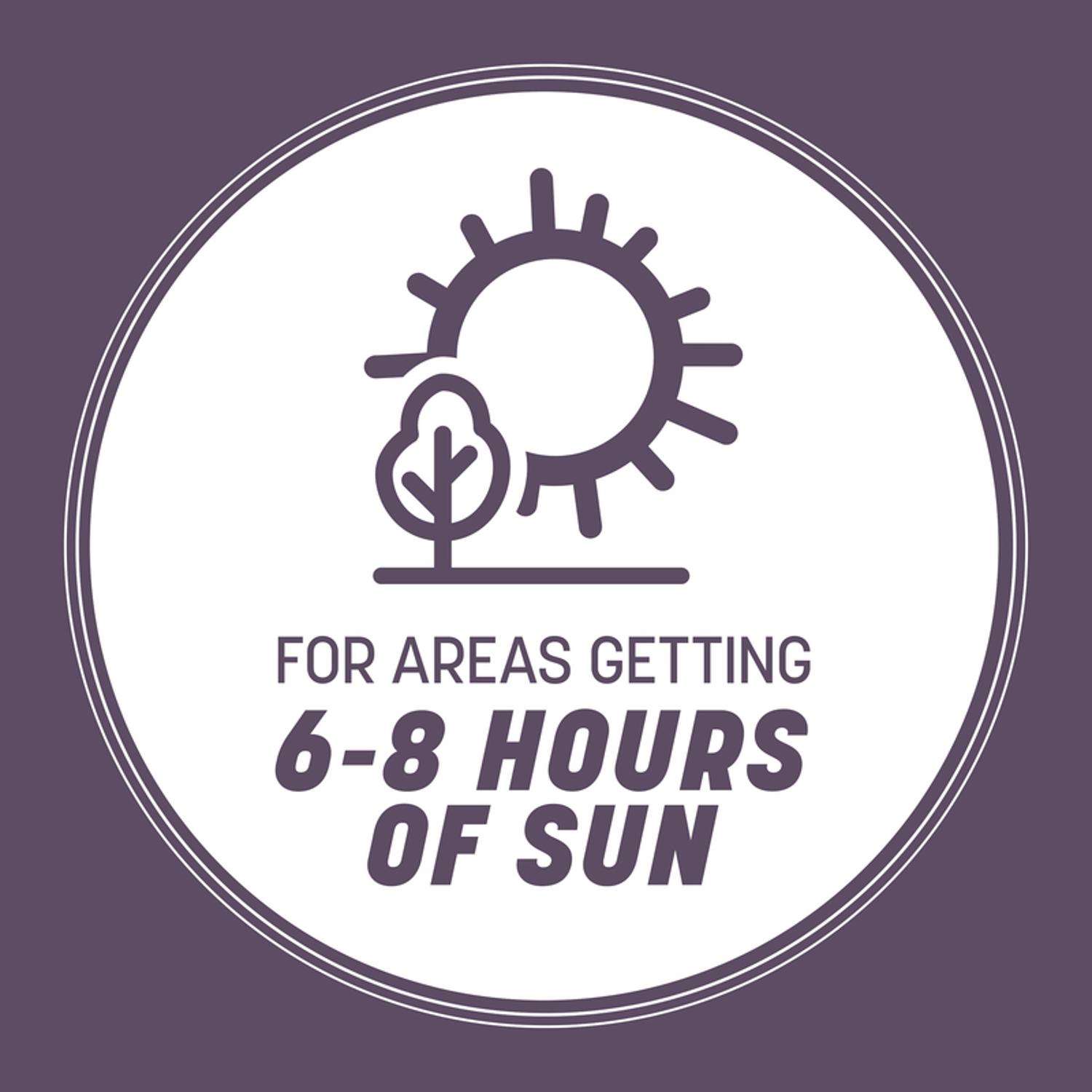  Pennington Annual Ryegrass Sun Or Shade Grass Seed 25 Lb