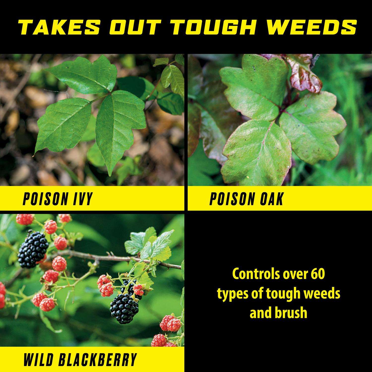  Ortho GroundClear Poison Ivy Killer Concentrate 32 Oz