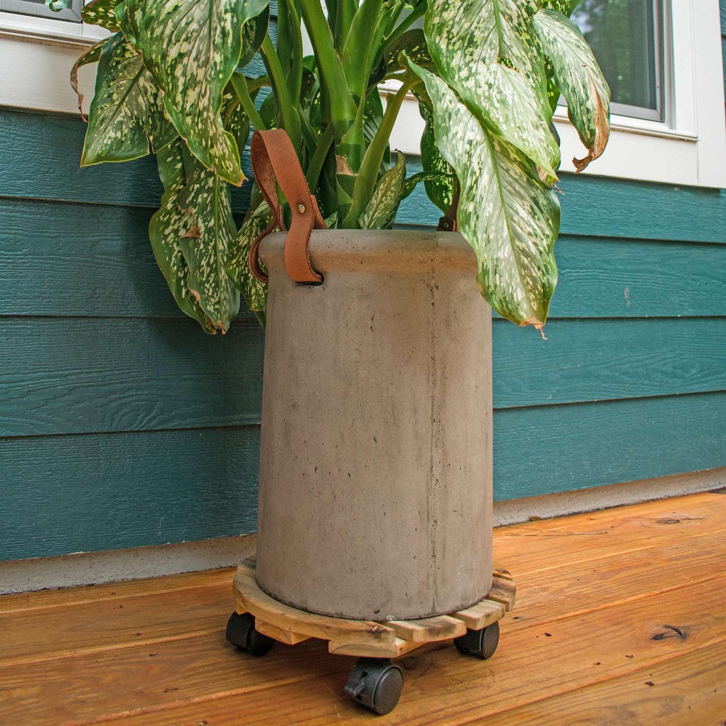  Avera Products 3.25 In. H X 12 In. W X 12 In. D Wood Traditional Plant Caddy Natural