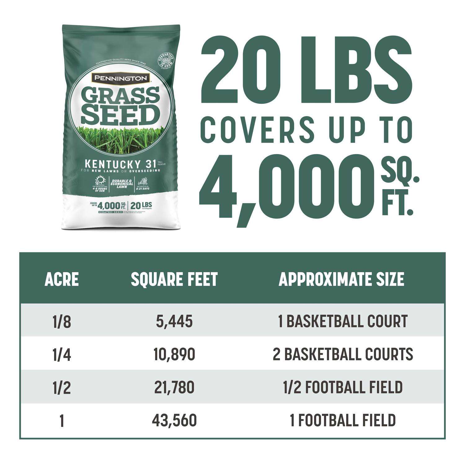  Pennington Kentucky 31 Tall Fescue Grass Sun Or Shade Grass Seed 20 Lb