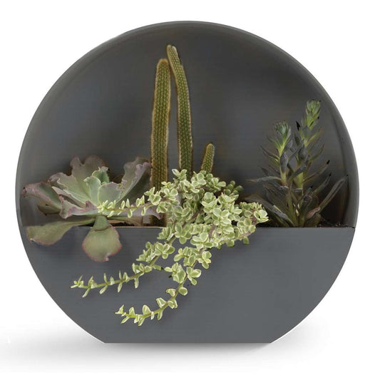  Bloem Bodye 15 In. H X 15 In. D Resin Full Moon Planter Charcoal