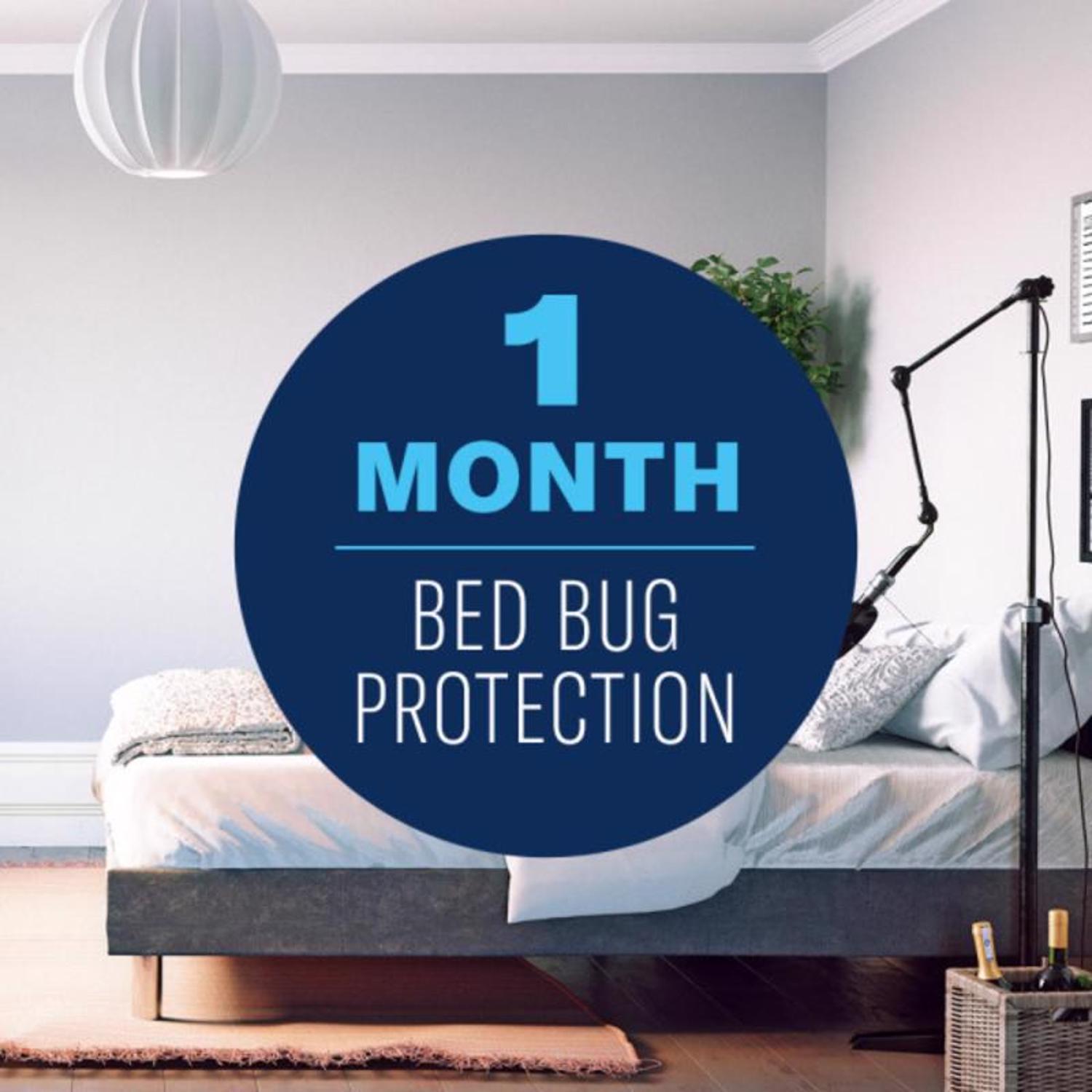  BioAdvanced Home Pest Insect Killer Continuous Spray 15.7 Oz
