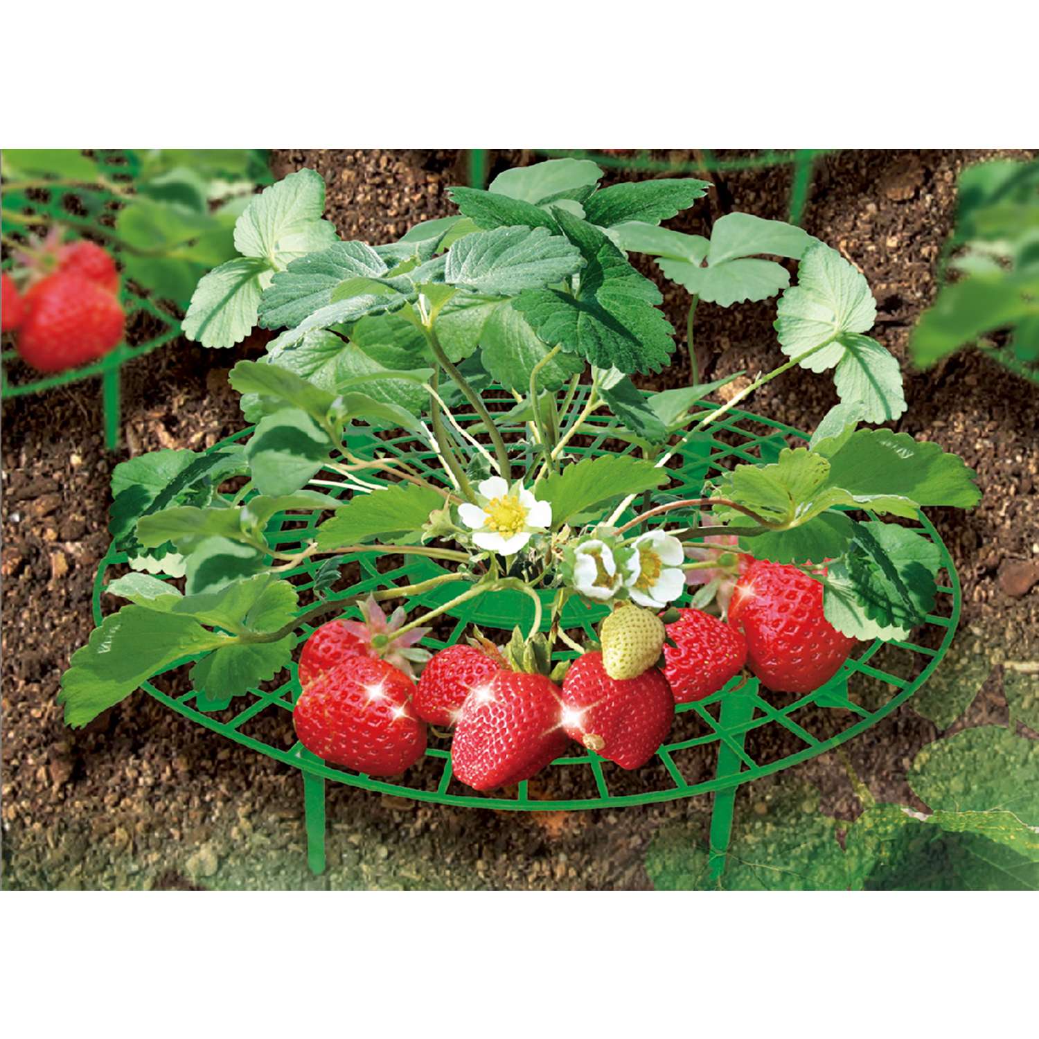  Zenport 3.75 In. H X 12 In. W Green Plastic Plant Support