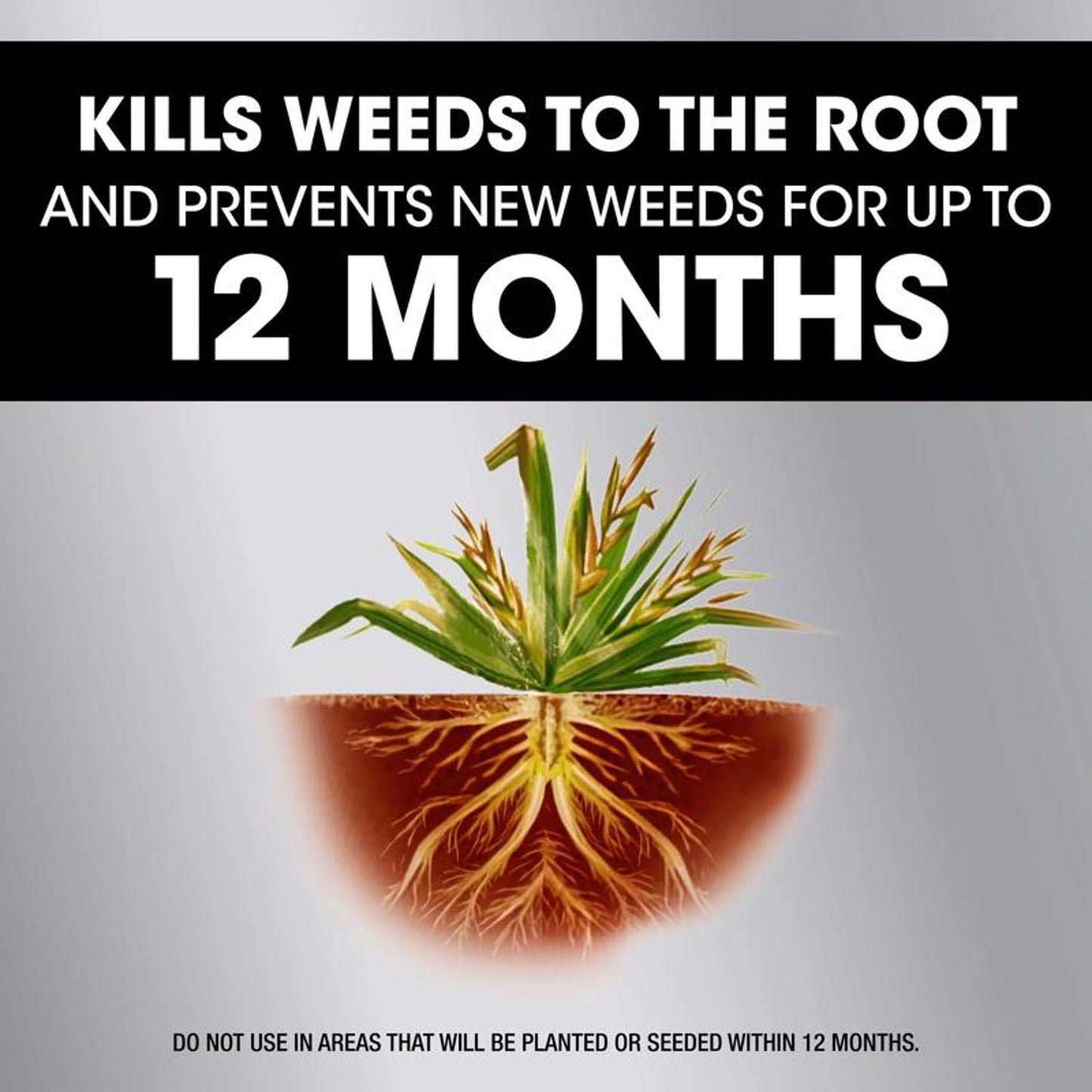  Roundup Weed And Grass Killer Concentrate 32 Oz