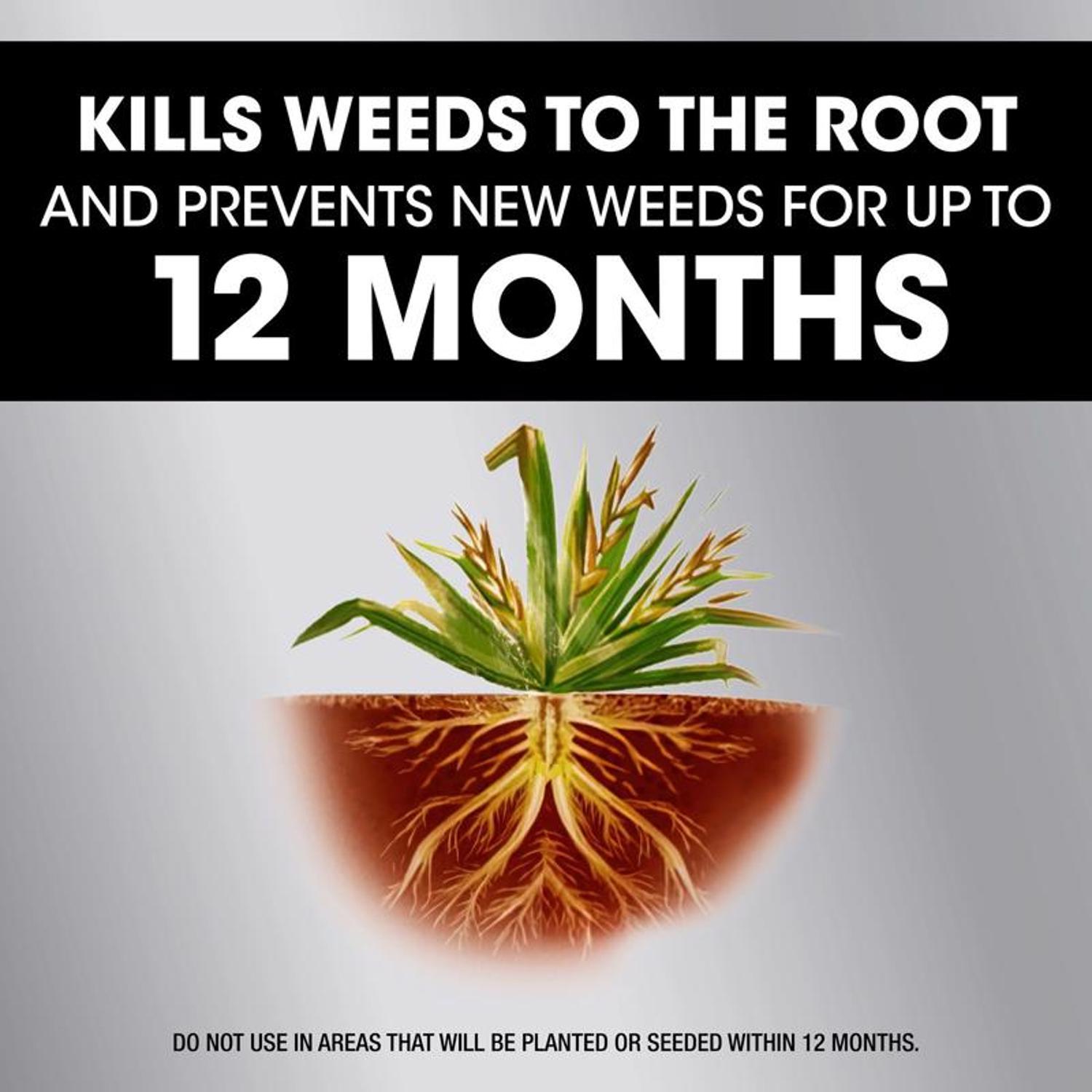 Roundup Weed And Grass Killer Concentrate 32 Oz