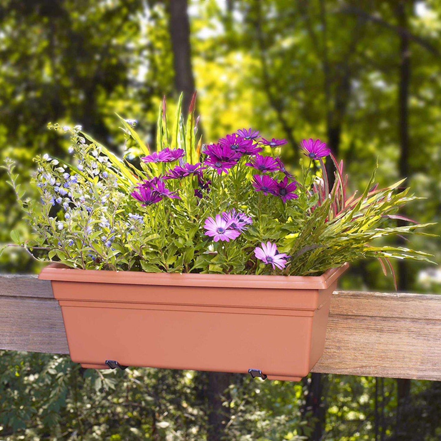  Novelty 6.4 In. H X 36 In. W X 8 In. D Plastic Countryside Flower Box Terracotta