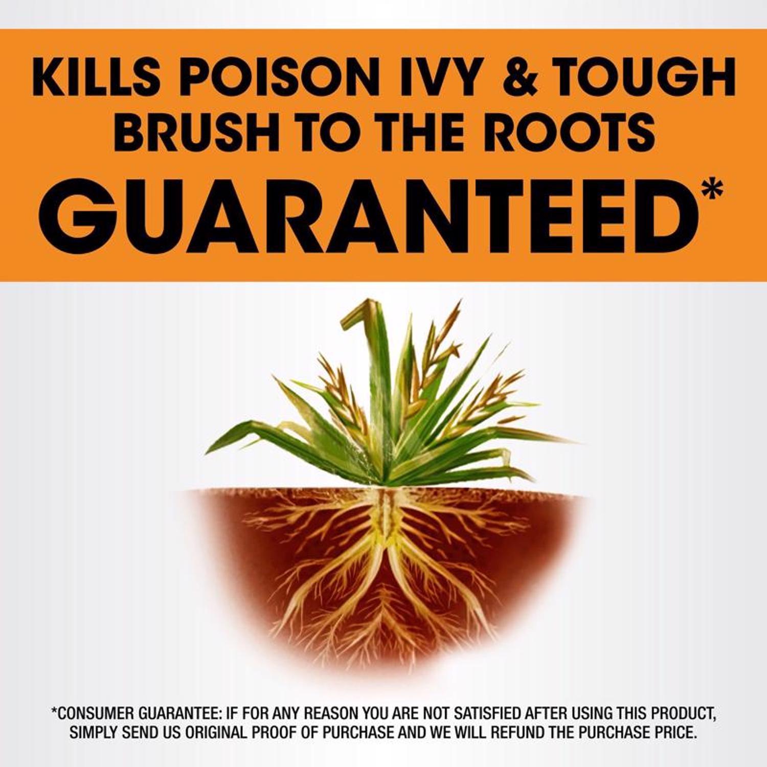  Roundup Poison Ivy Killer RTU Liquid 1 Gal