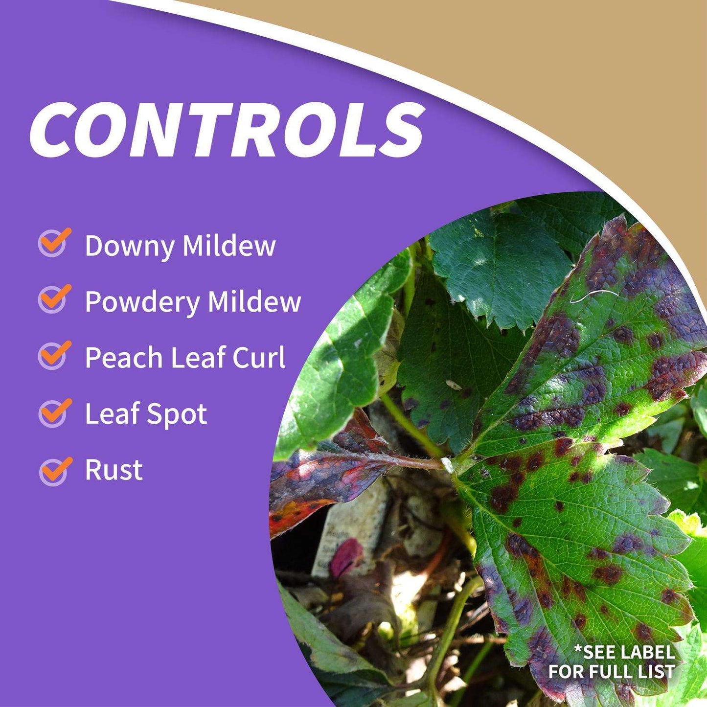  Bonide Concentrated Liquid Disease And Fungicide Control 16 Oz