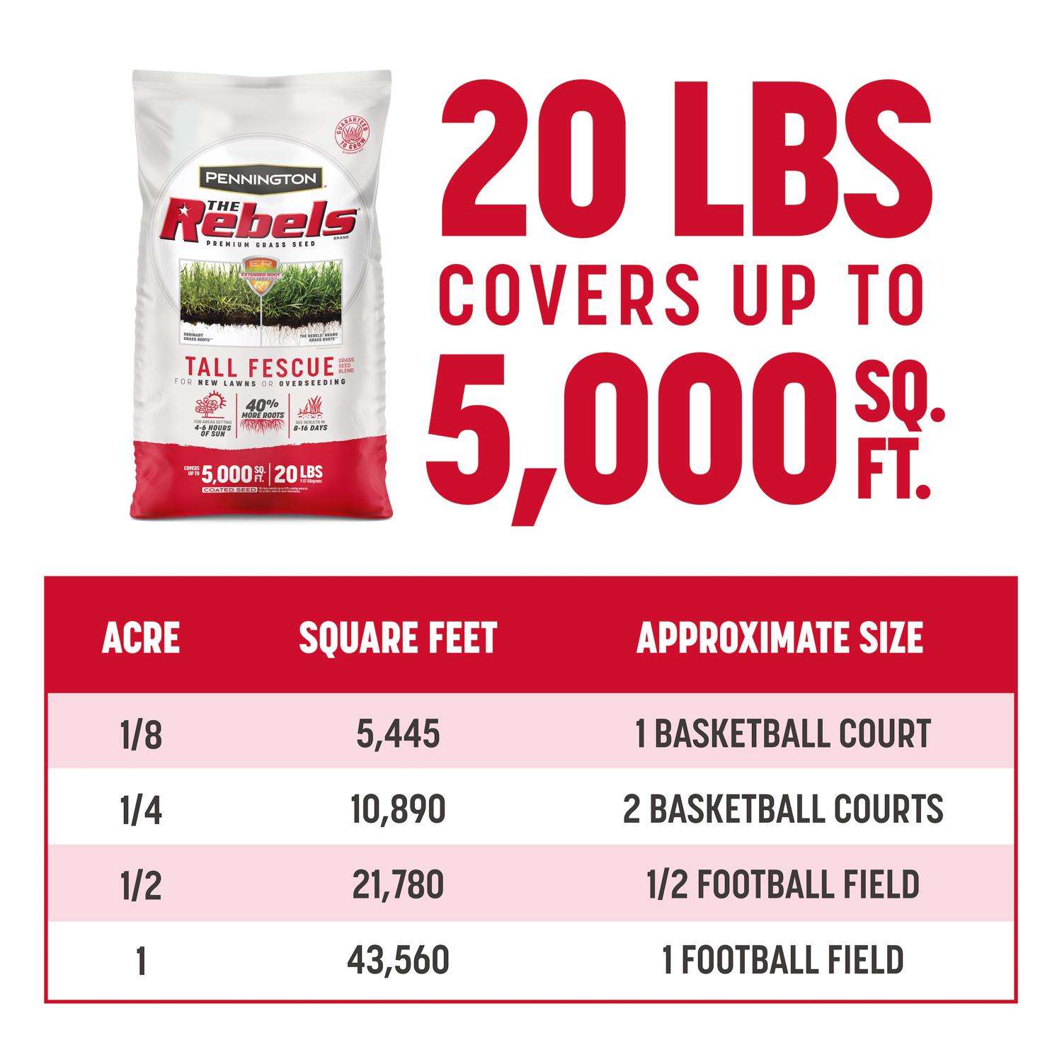  Pennington The Rebels Tall Fescue Grass Sun Or Shade Grass Seed 20 Lb
