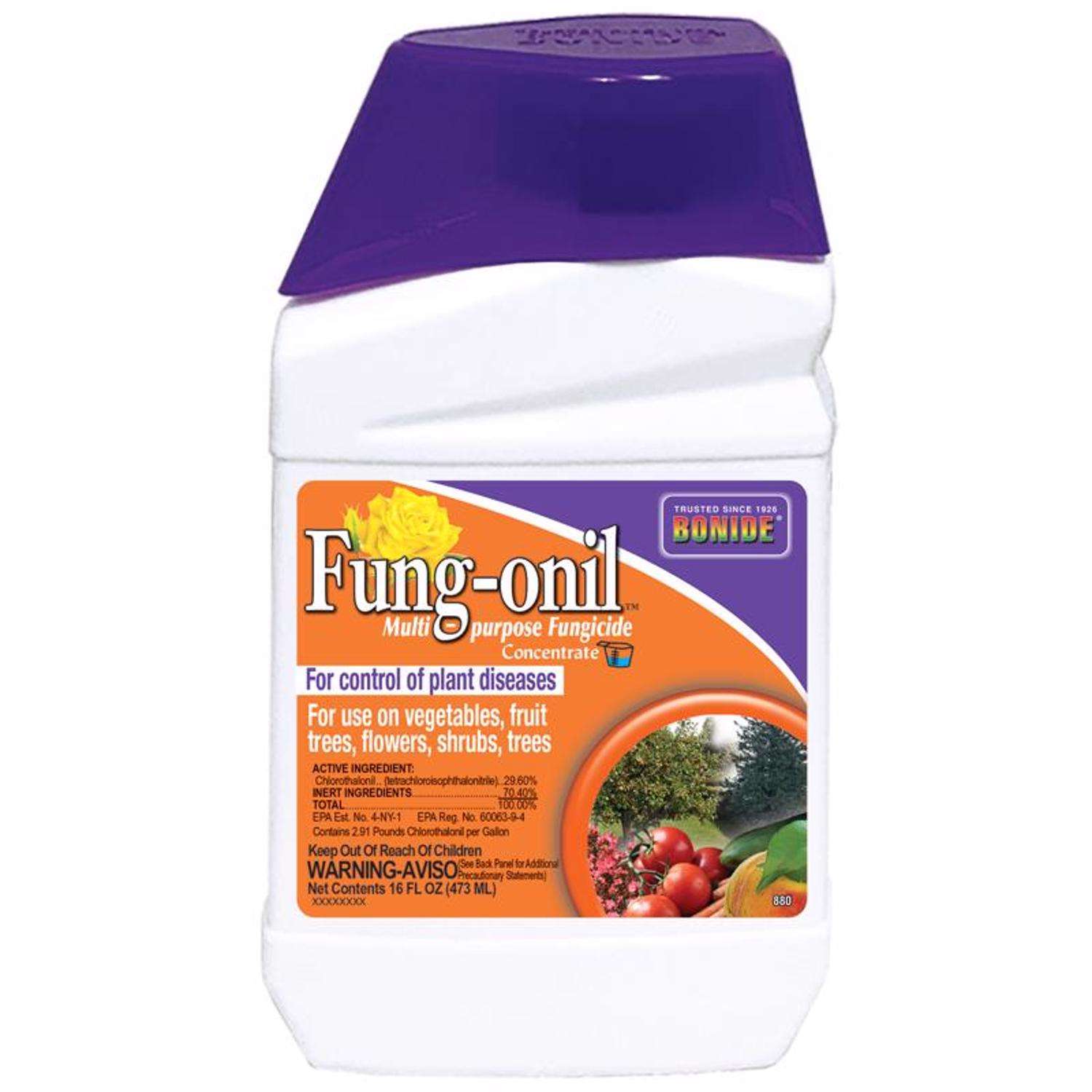  Bonide Fung-onil Concentrated Liquid Fungicide 16 Oz