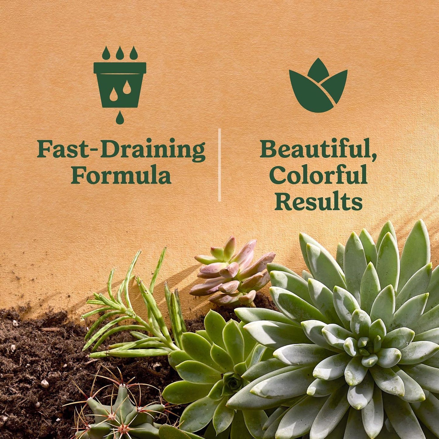  Miracle-Gro Cacti, Citrus And Palm Potting Mix 8 Qt