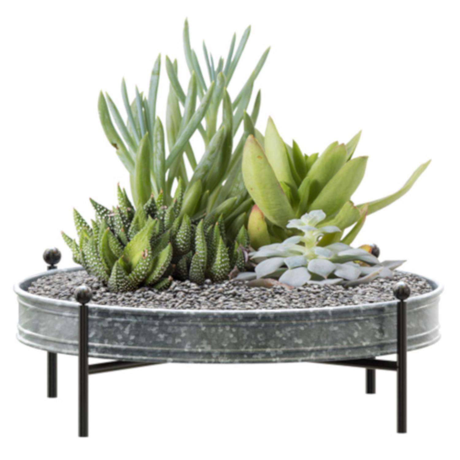  Panacea 5.75 In. H X 16 In. D Metal Succulent Tray Planter With Stand Silver