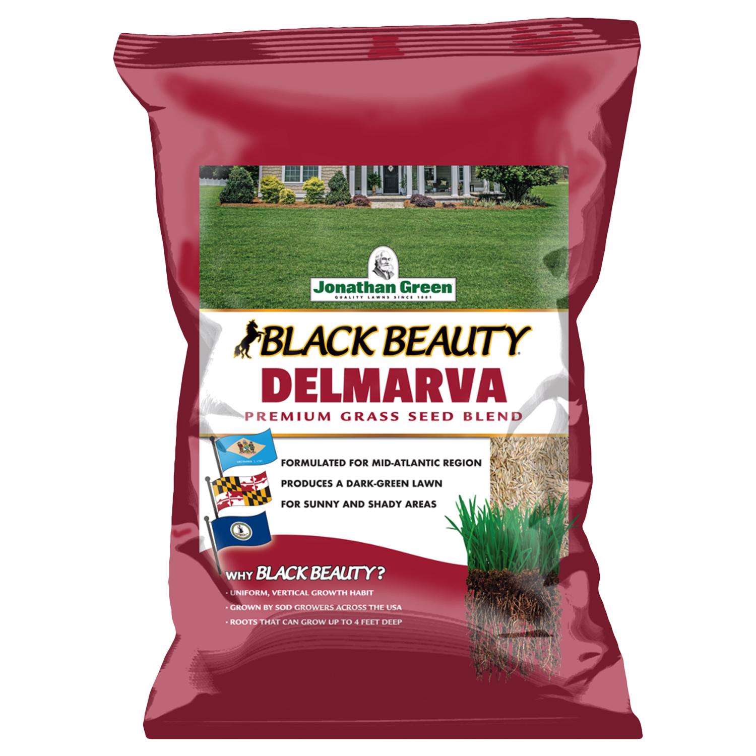  Jonathan Green Black Beauty Delmarva Mixed Sun Or Shade Grass Seed 25 Lb