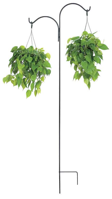  Panacea Black Steel 84 In. H Double Crook Plant Hook 1 Pk