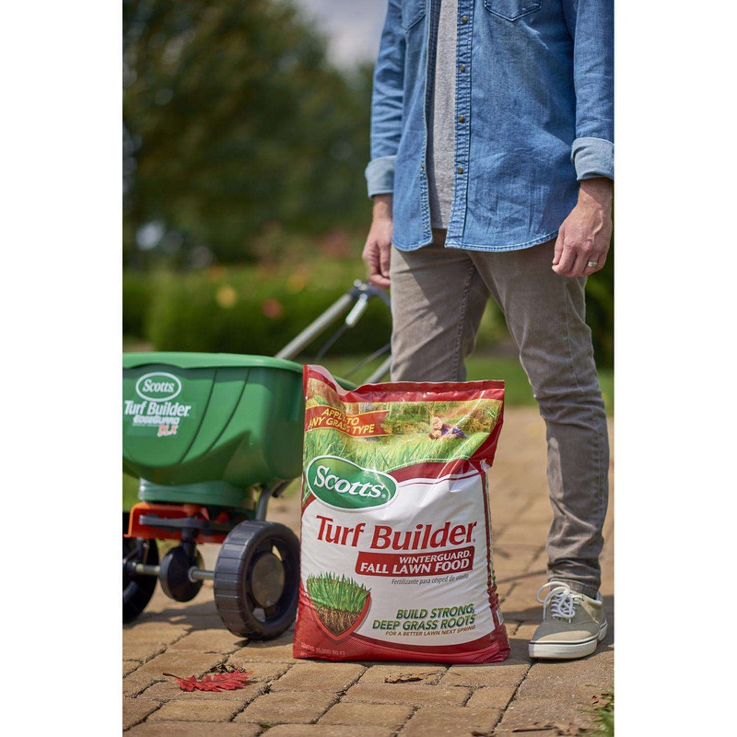  Scotts Turf Builder WinterGuard Fall Lawn Food For All Grasses 15000 Sq Ft