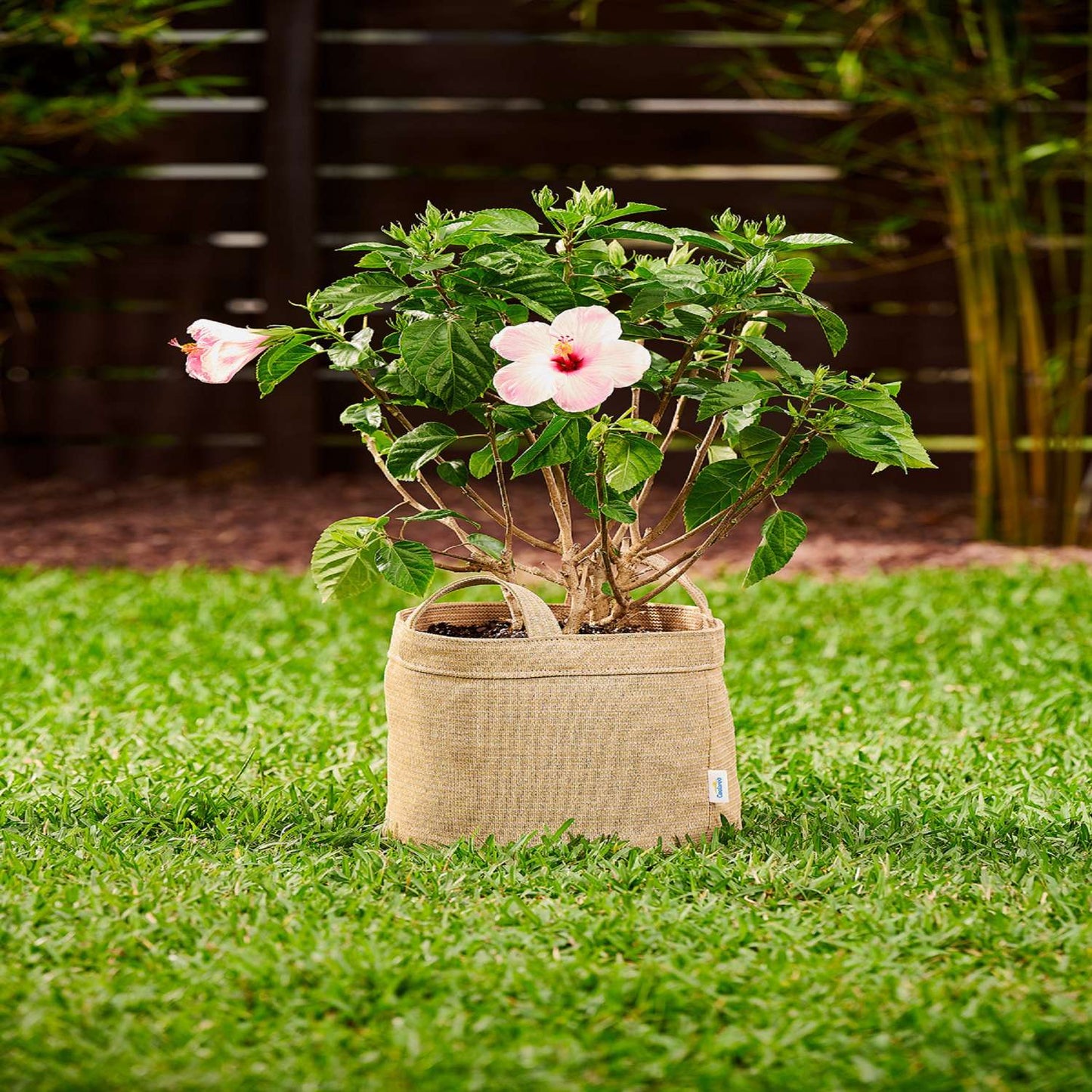  Coolaroo 11 In. H X 12 In. W X 12 In. D X 12 In. D Polyethylene Round Planter Bag Desert Sand