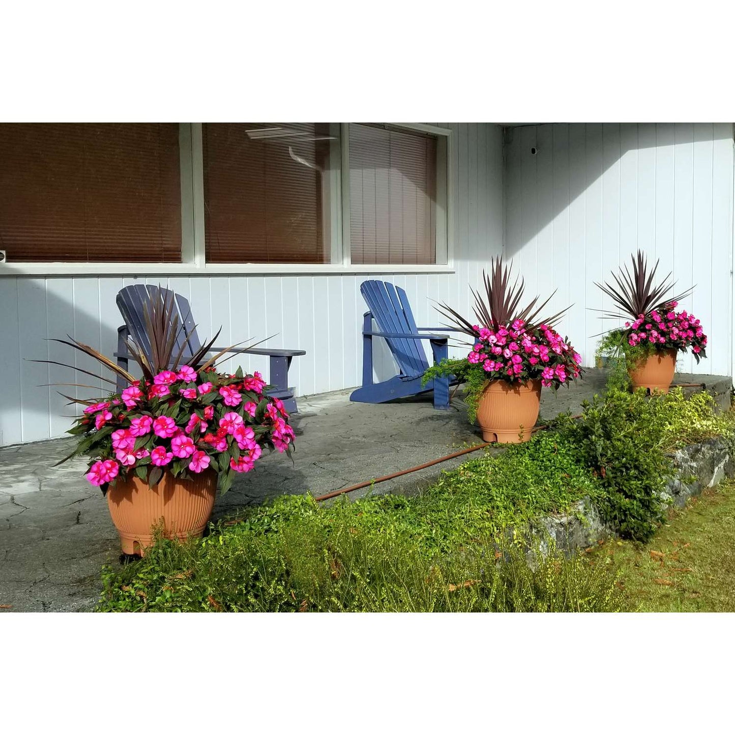  Daisy Rain Garden Systems 18.75 In. H X 18.25 In. W X 18.25 In. D Plastic Flower Pot Terracotta