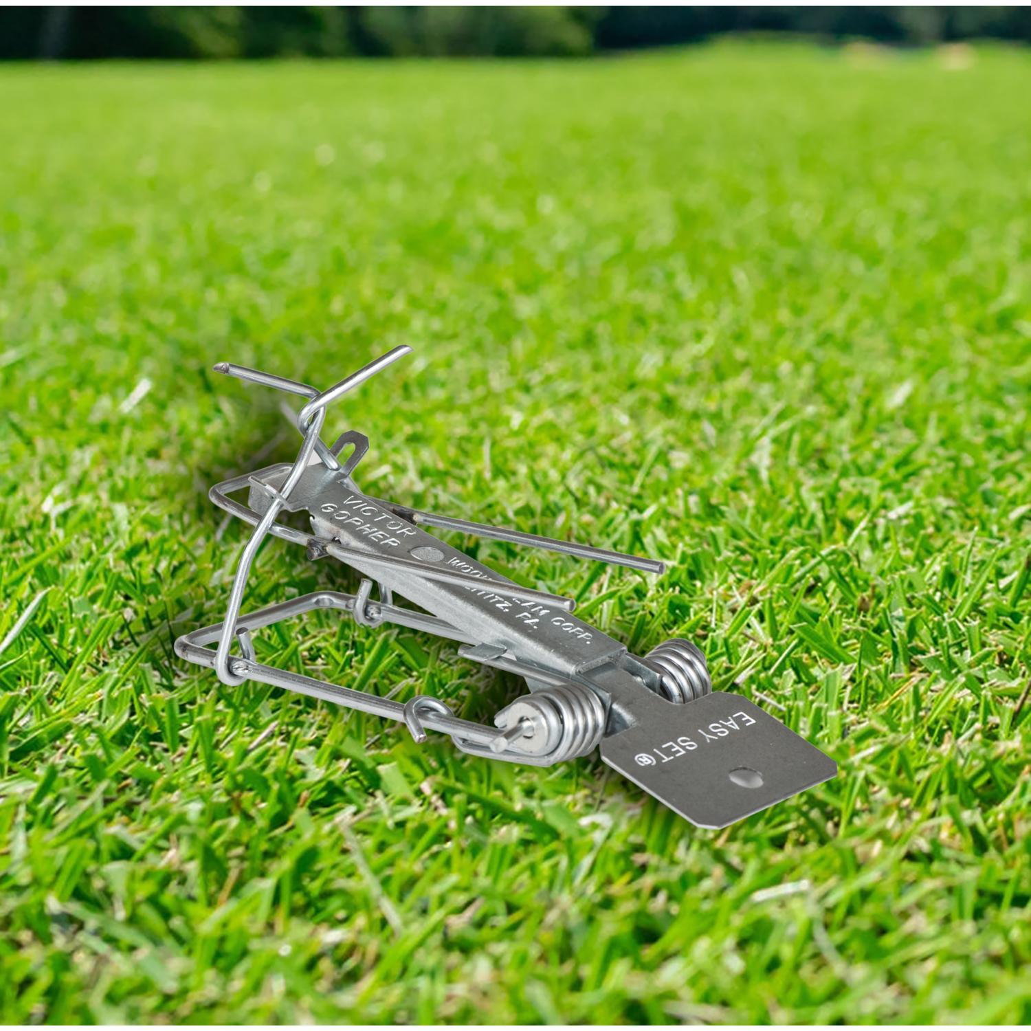  Victor Medium Pincher Animal Trap For Gophers 1 Pk