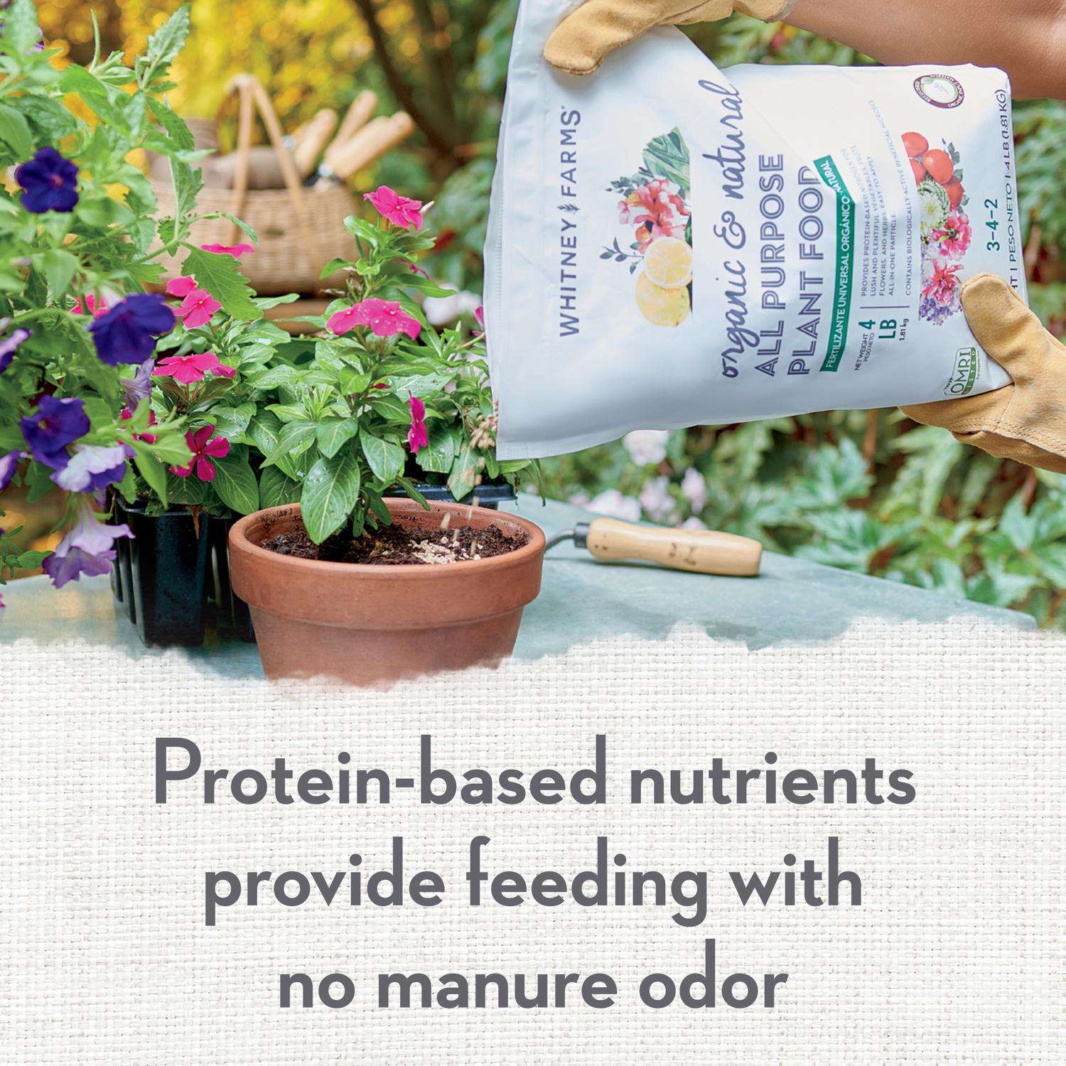  Whitney Farms Organic Granules All Purpose Plant Food 4 Lb