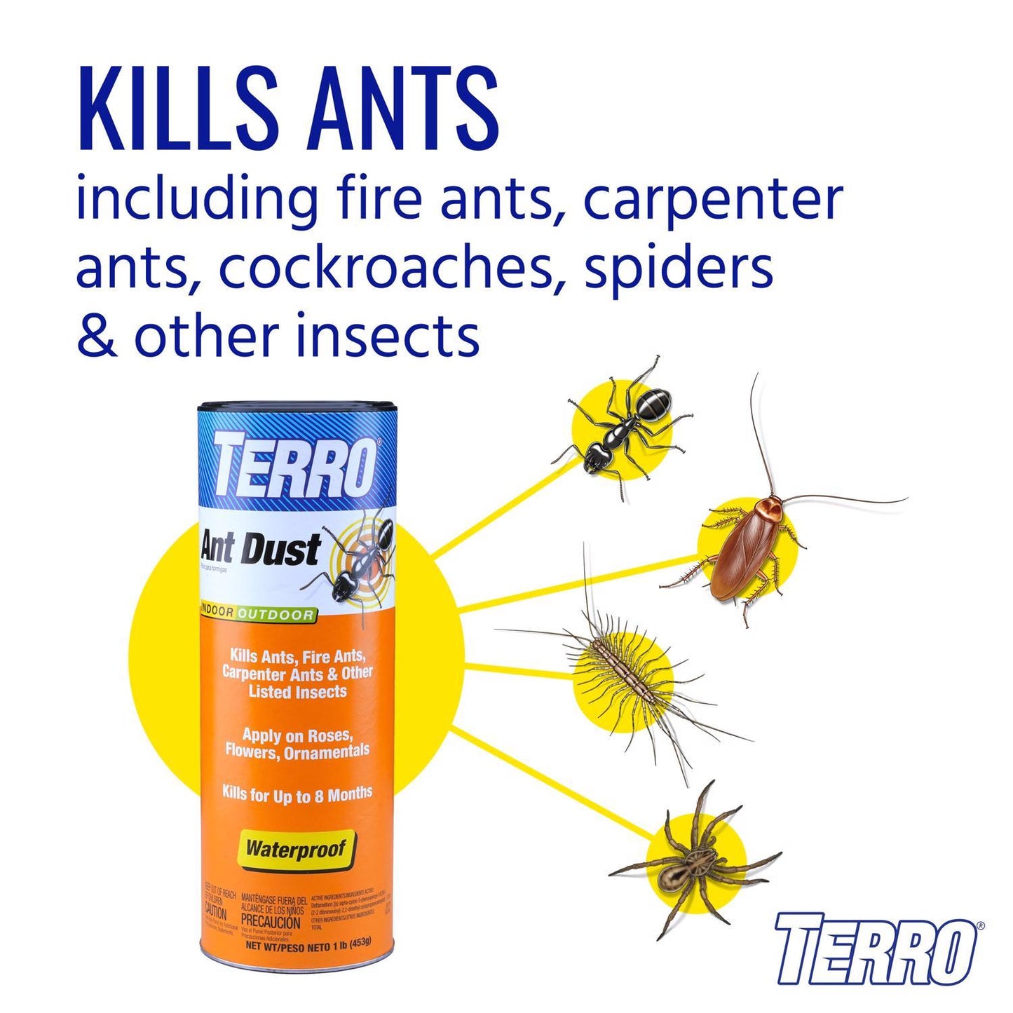  TERRO Ant Killer Dust 1 Lb