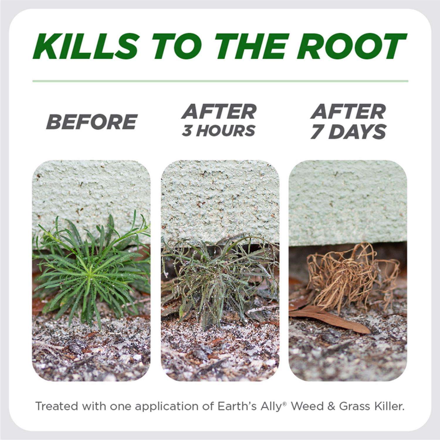  Earth's Ally Grass & Weed Killer RTU Liquid 24 Oz