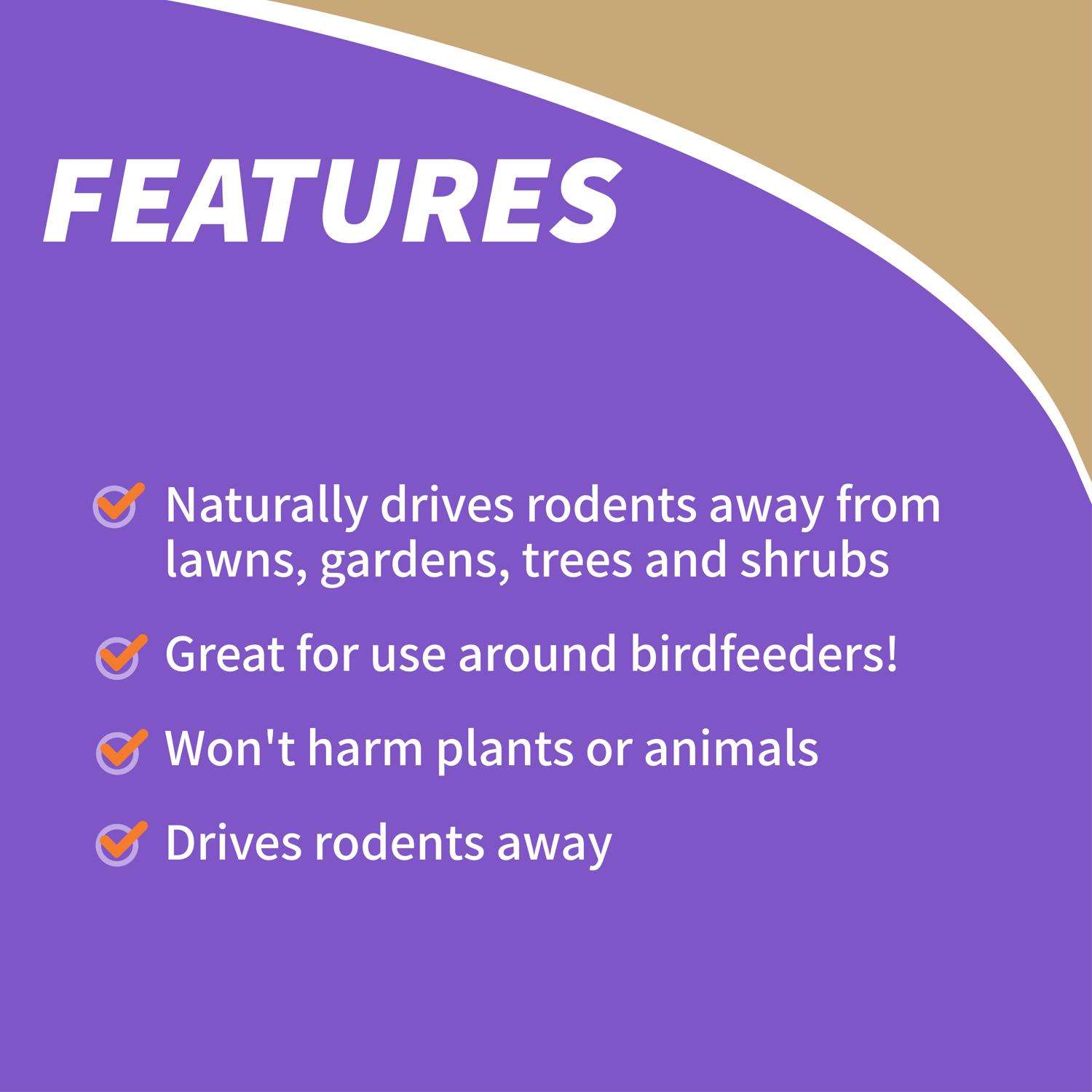  Bonide Animal Repellent Liquid For Chipmunks And Squirrels 32 Oz