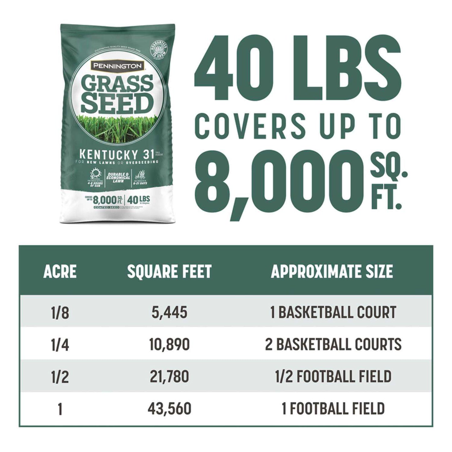  Pennington Kentucky 31 Tall Fescue Grass Sun Or Shade Grass Seed 40 Lb