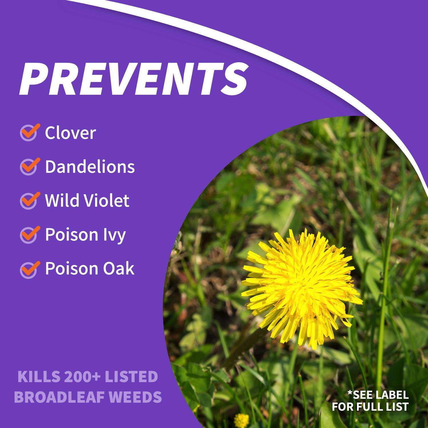  Bonide Weed Beater Weed Killer Concentrate 1 Pt