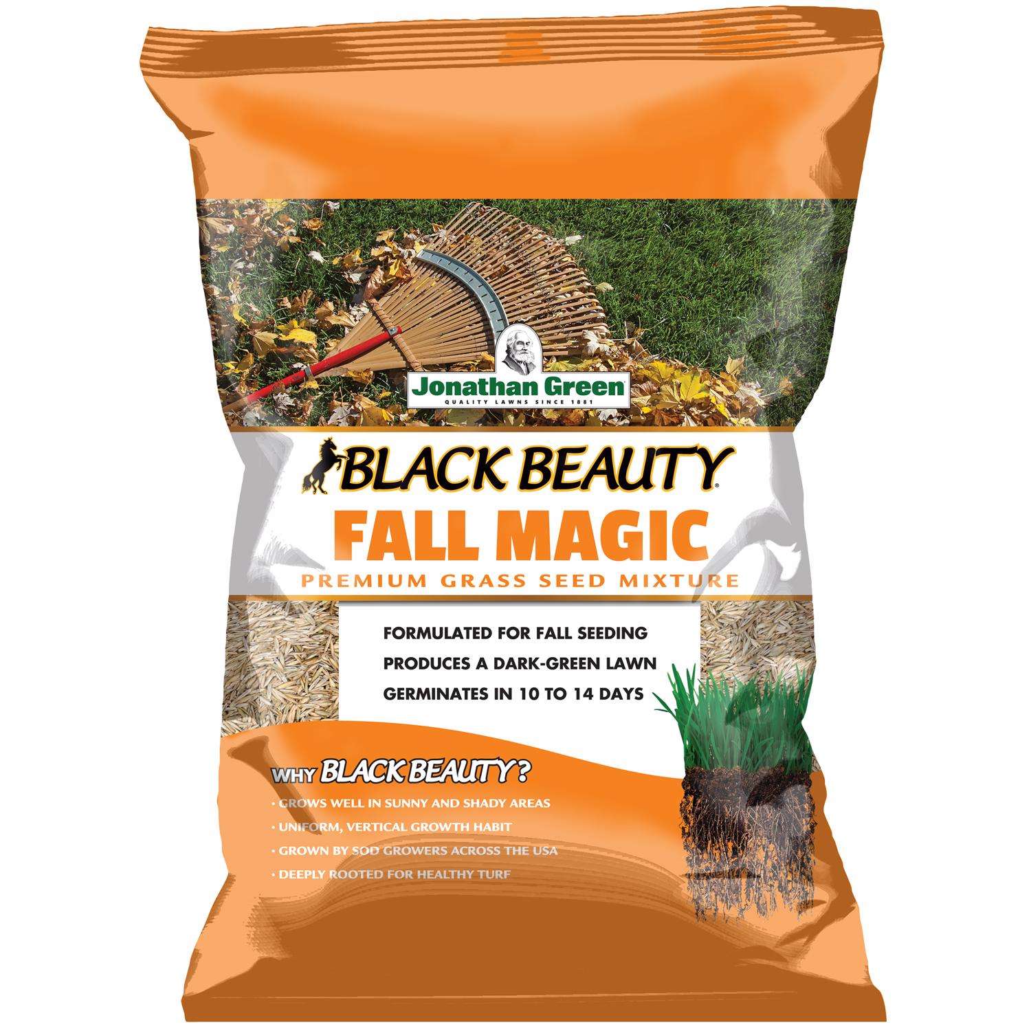  Jonathan Green Black Beauty Fall Magic All Grasses Sun Or Shade Grass Seed 25 Lb