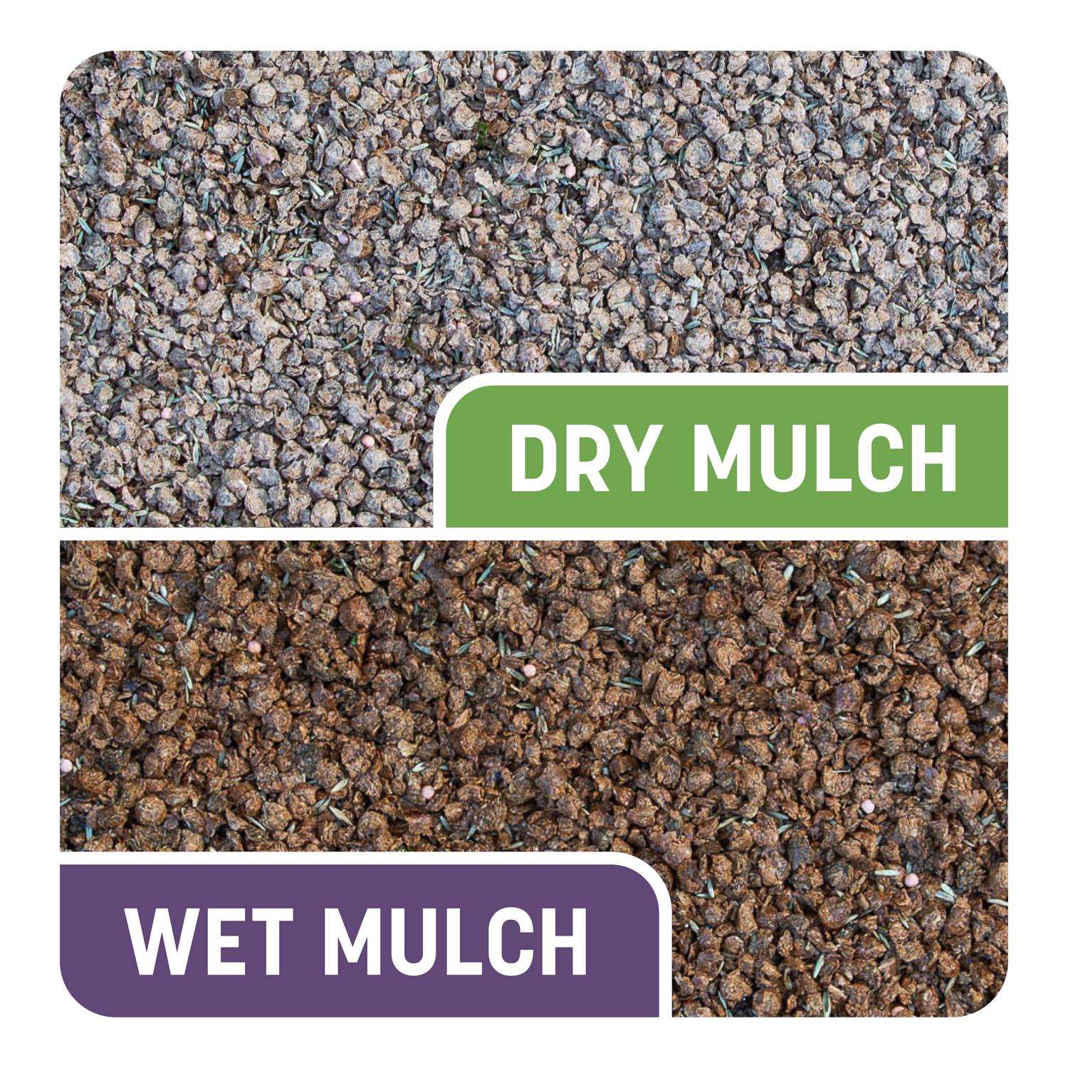  Pennington Smart Patch Mixed Dense Shade Seed/Fertilizer/Mulch Repair Kit 5 Lb
