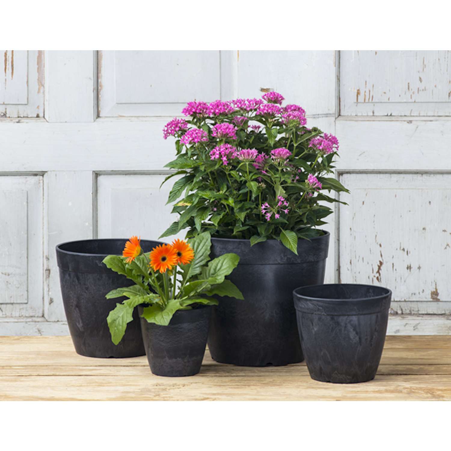  Novelty ArtStone 7.5 In. H X 8.5 In. W X 8.5 In. D X 8.5 In. D Resin Dolce Planter Black