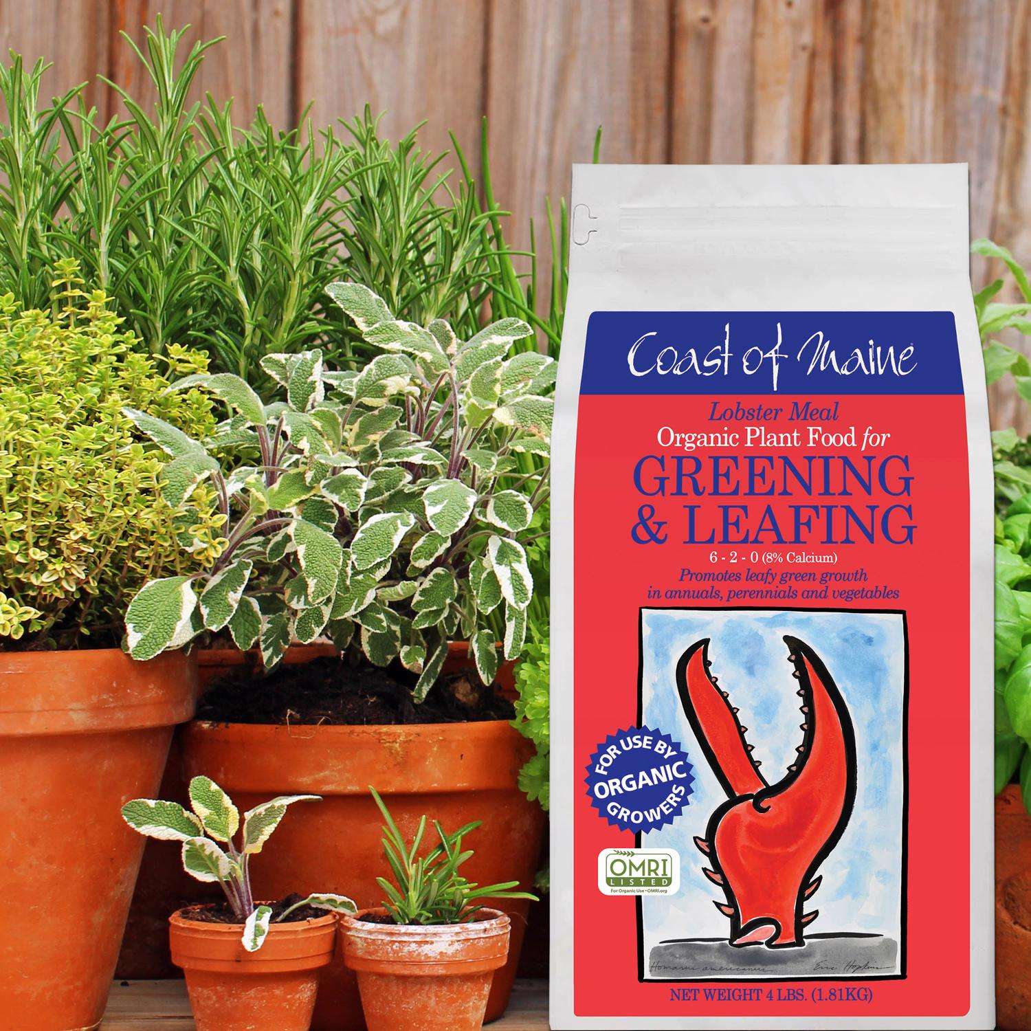  Coast Of Maine Greening & Leafing Organic Granules All Purpose Plant Food 4 Lb