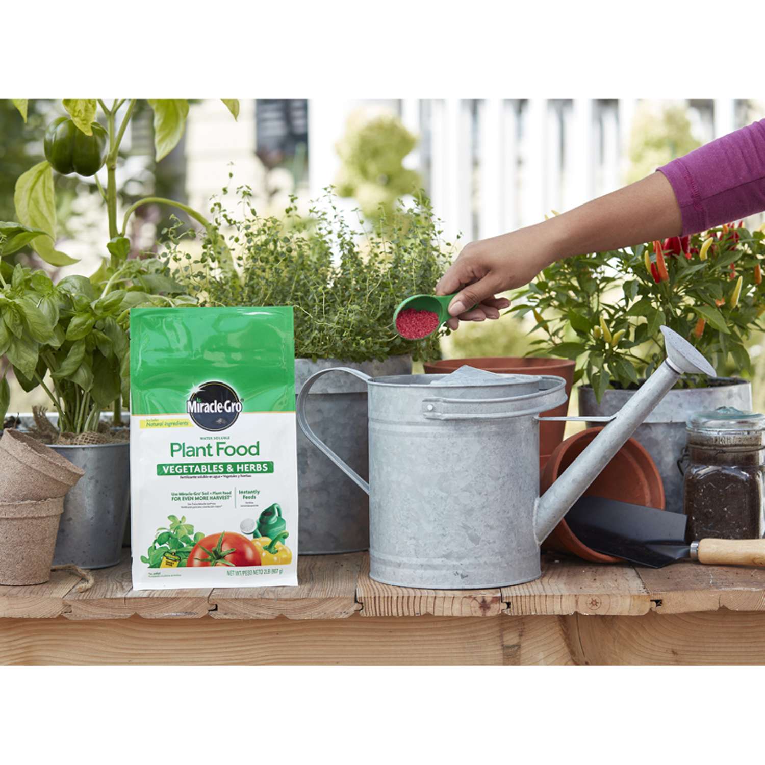  Miracle-Gro Granules Plant Food 2 Lb