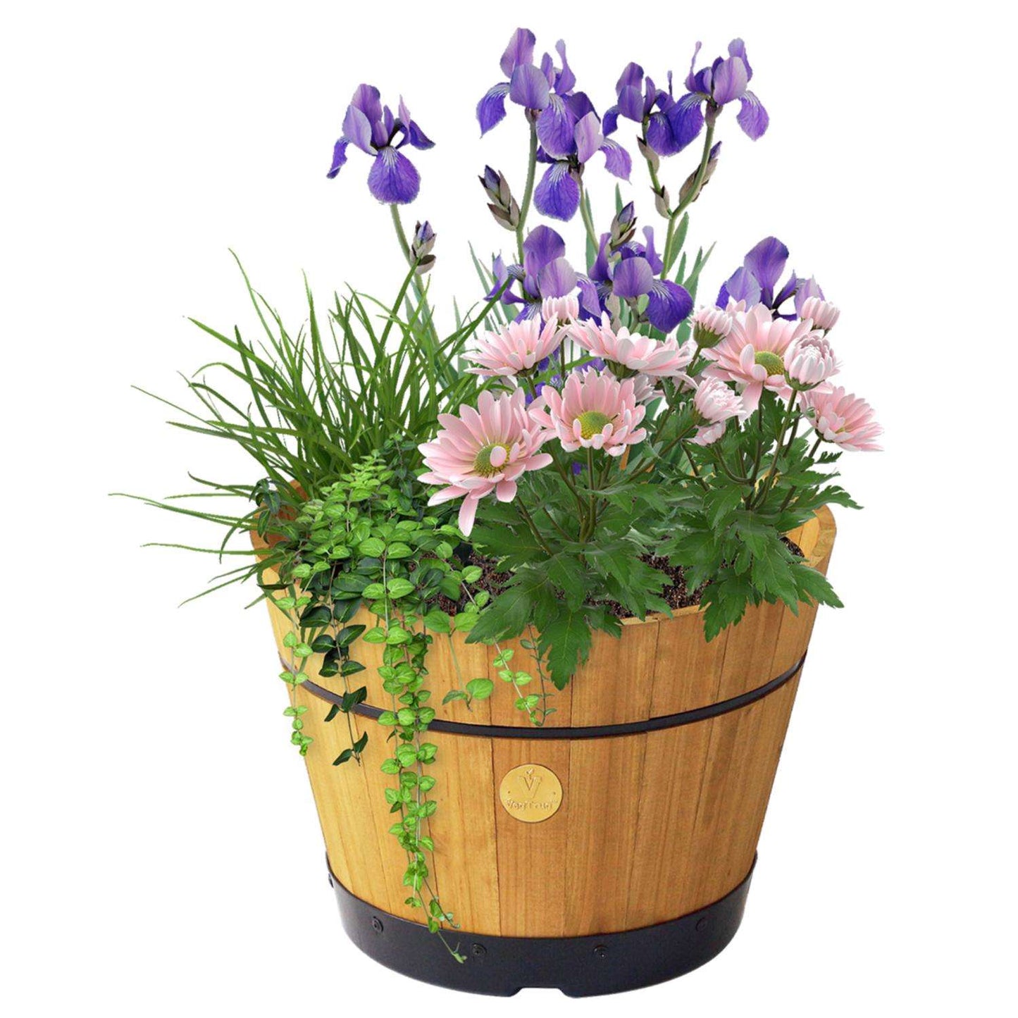  VegTrug Cedar Barrel Natural
