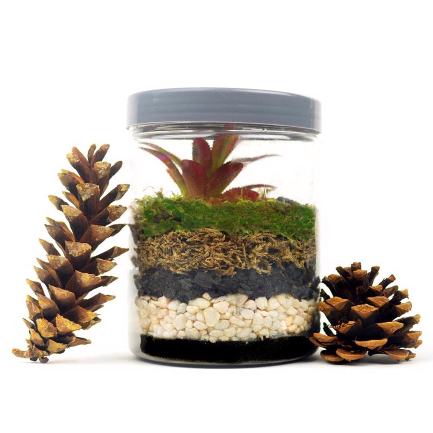  Mosser Lee White Pearl Stone Soil Cover 5 Lb