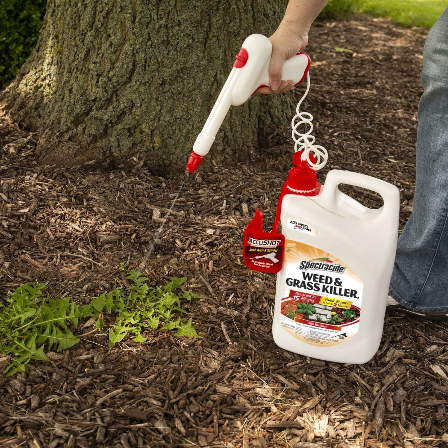  Spectracide AccuShot Weed And Grass Killer RTU Liquid 1.33 Gal