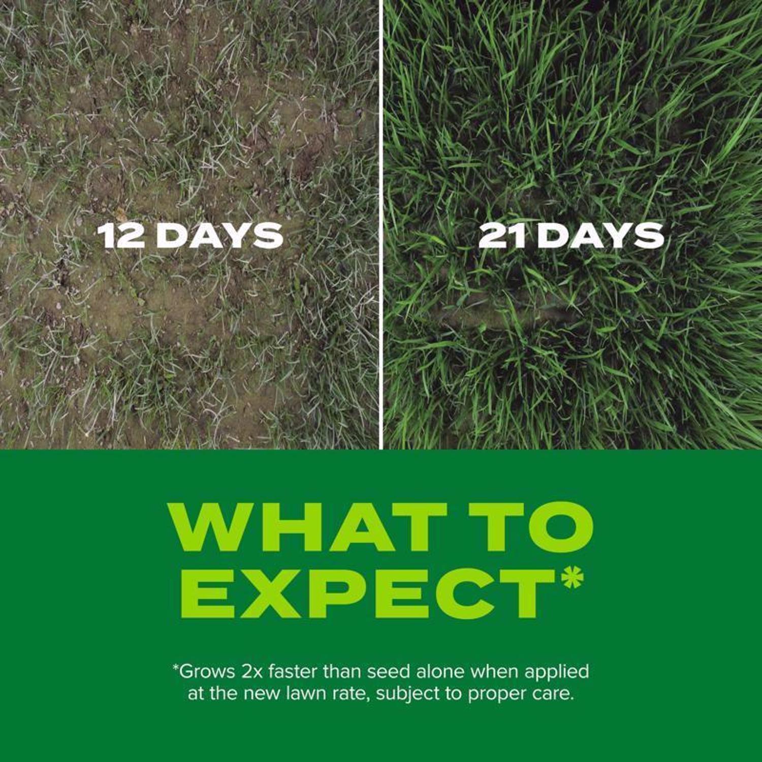  Scotts Turf Builder Rapid Grass Mixed Sun Or Shade Grass Seed And Fertilizer 16 Lb