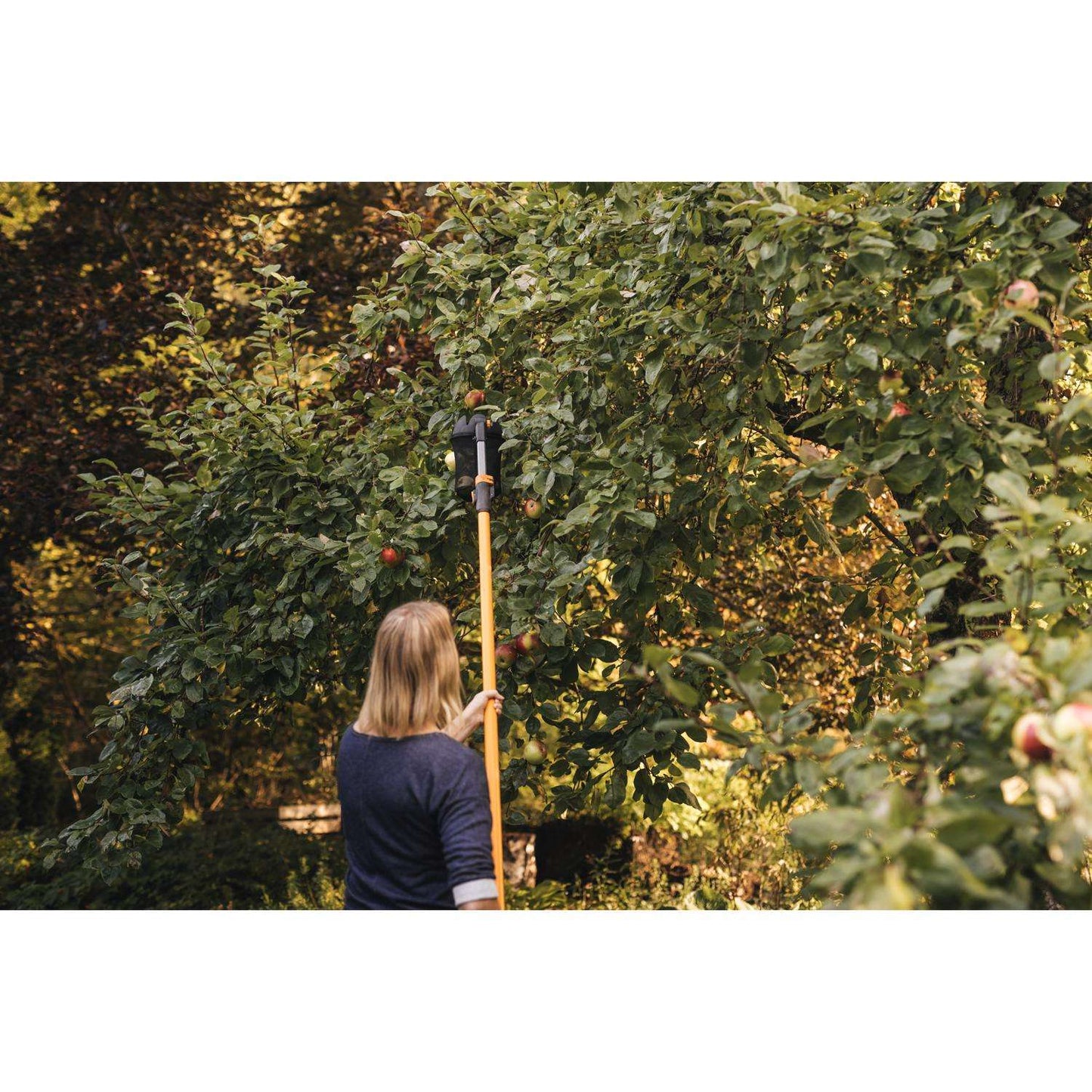  Fiskars 144 In. Extendable Fruit Picker Tool