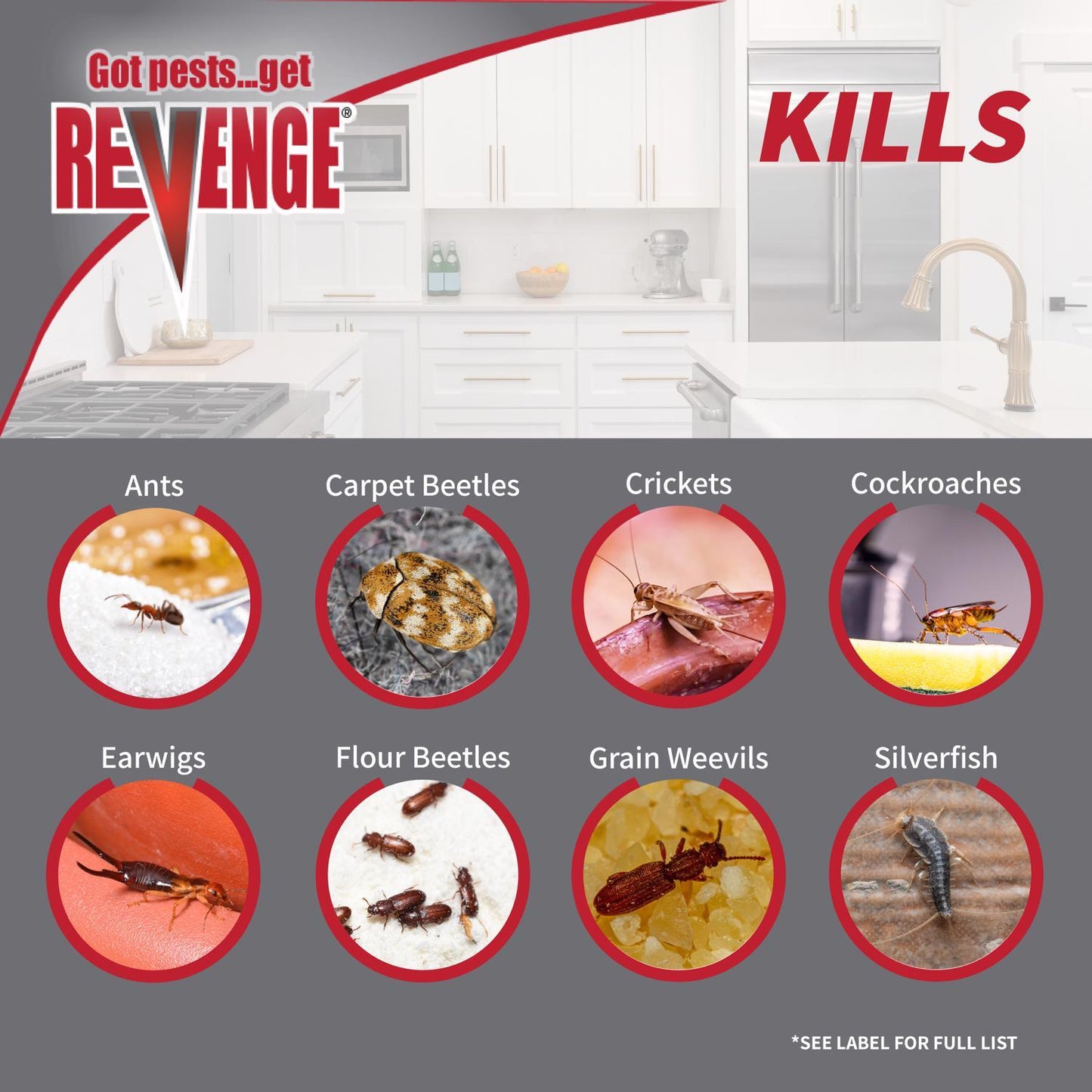  Revenge Invisible Roach Bait 3 Gm