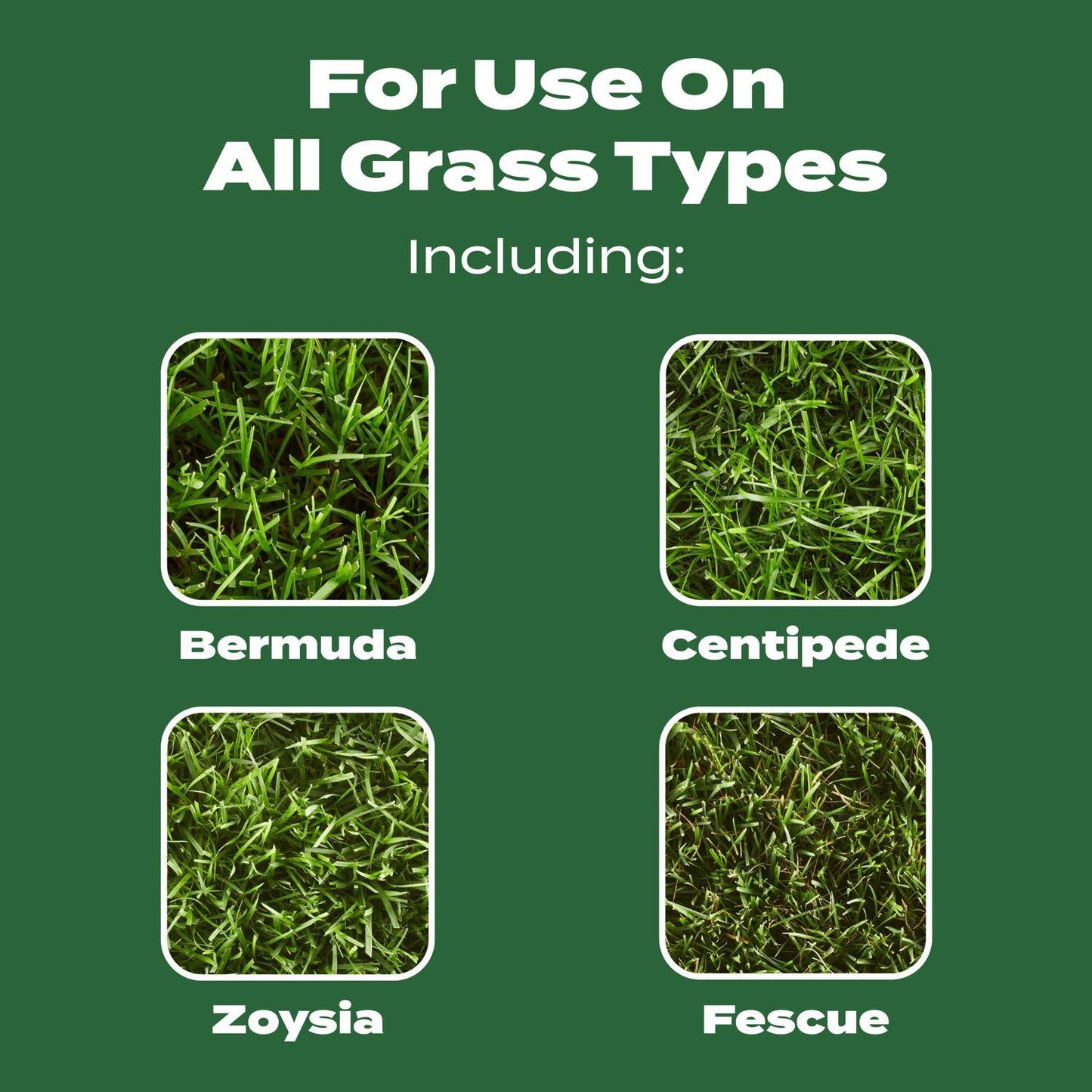  Scotts Turf Builder All-Purpose Lawn Food For All Grasses 15000 Sq Ft