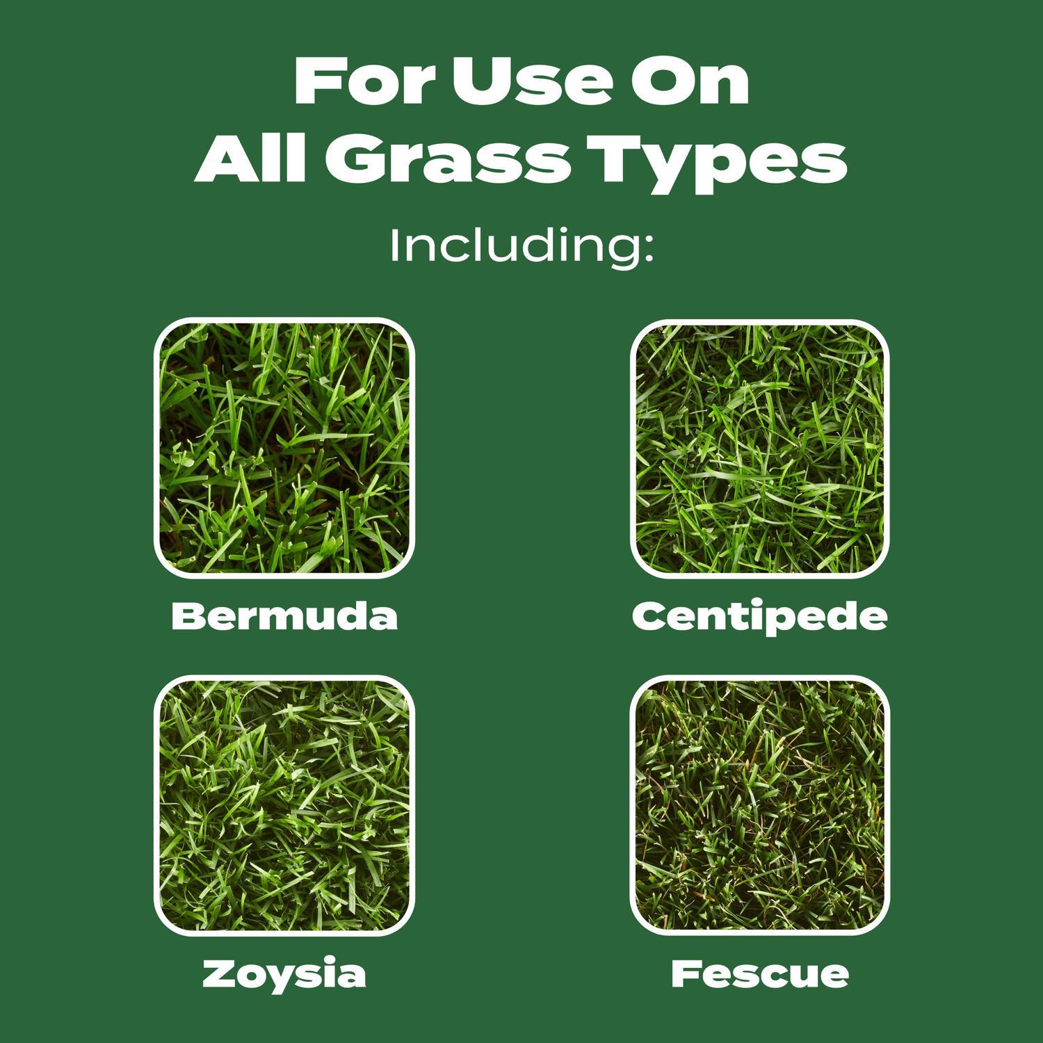  Scotts Turf Builder All-Purpose Lawn Food For All Grasses 15000 Sq Ft