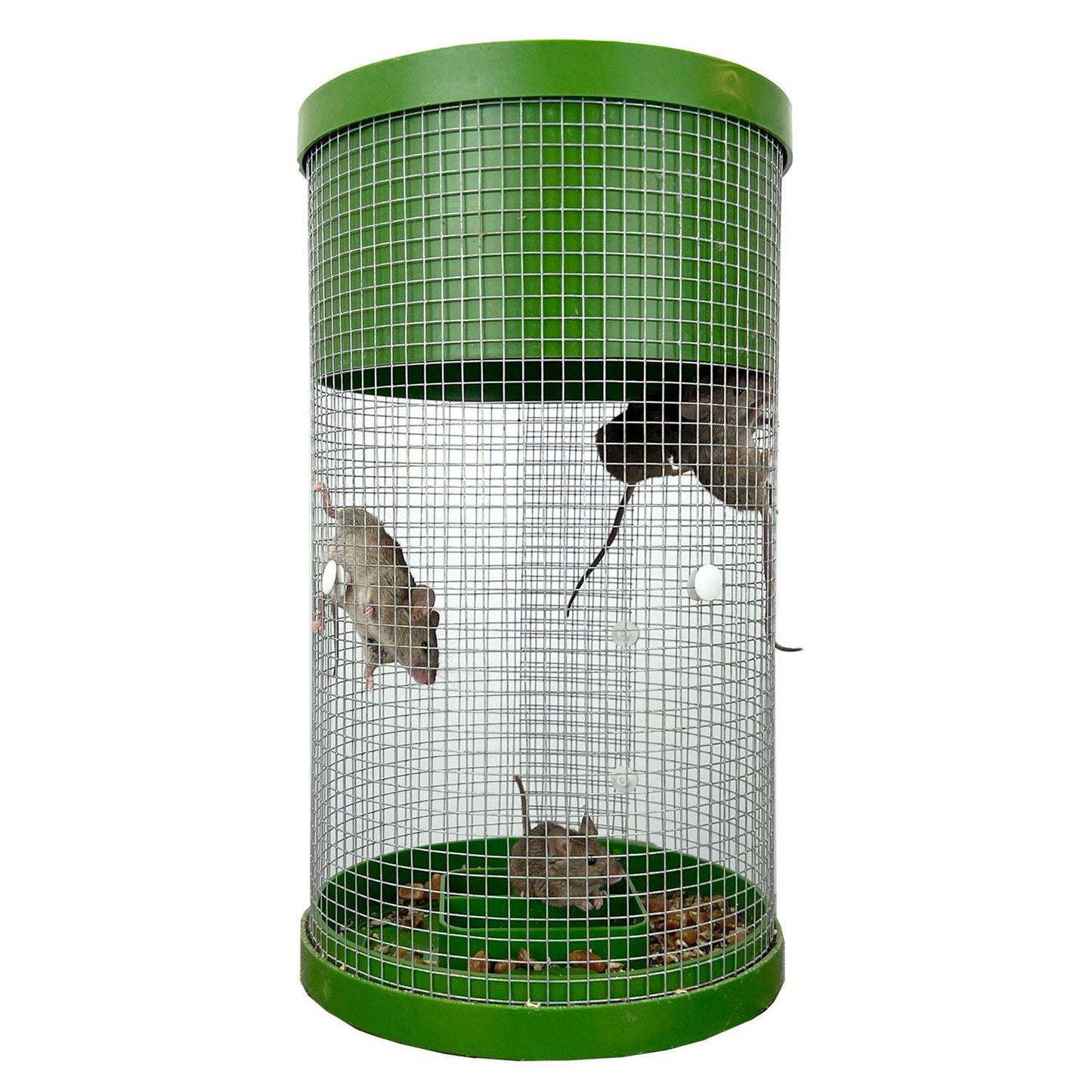  Billy Bob Multiple Catch Cage Trap For Mice 1 Pk