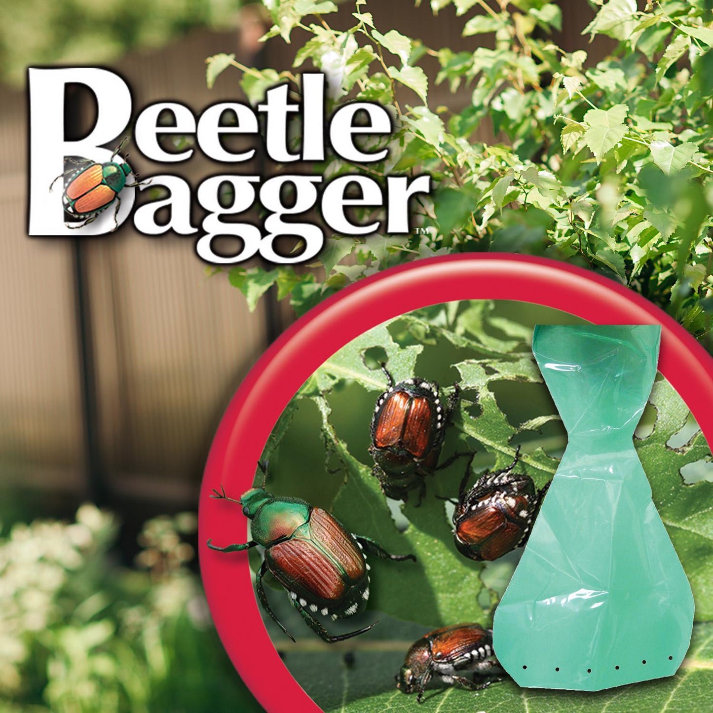  Bonide Beetle Bagger Beetle Trap Bag 6 Pk