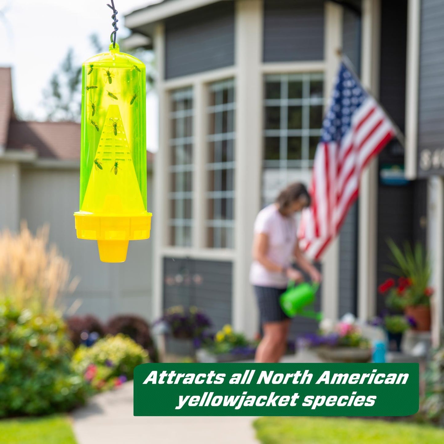  RESCUE! Yellow Jacket Trap