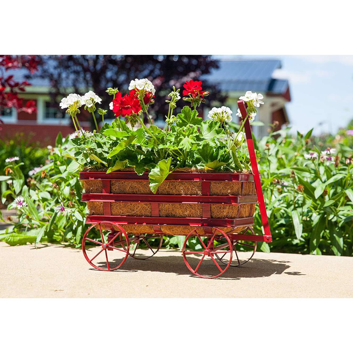  Panacea 14 In. W X 10 In. D Steel Industrial Wagon Planter Burnt Red
